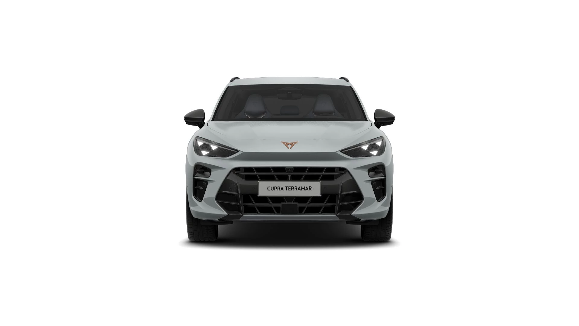 Hoofdafbeelding CUPRA Terramar