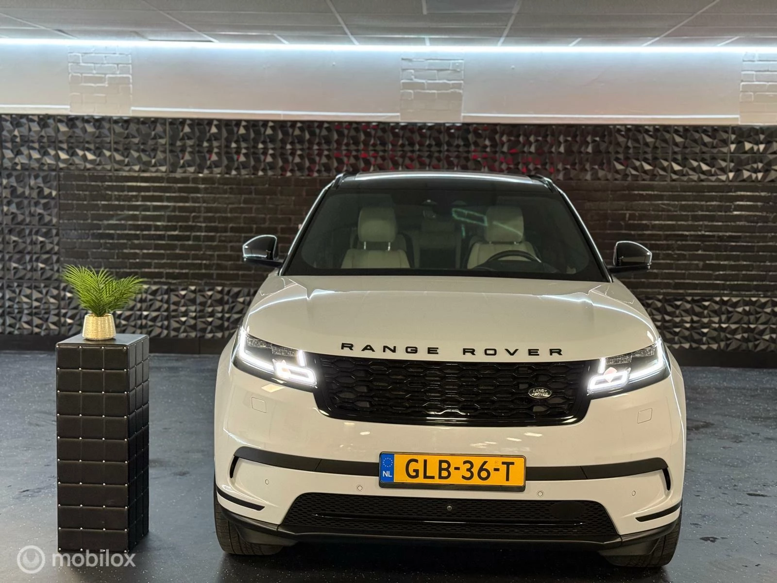 Hoofdafbeelding Land Rover Range Rover Velar