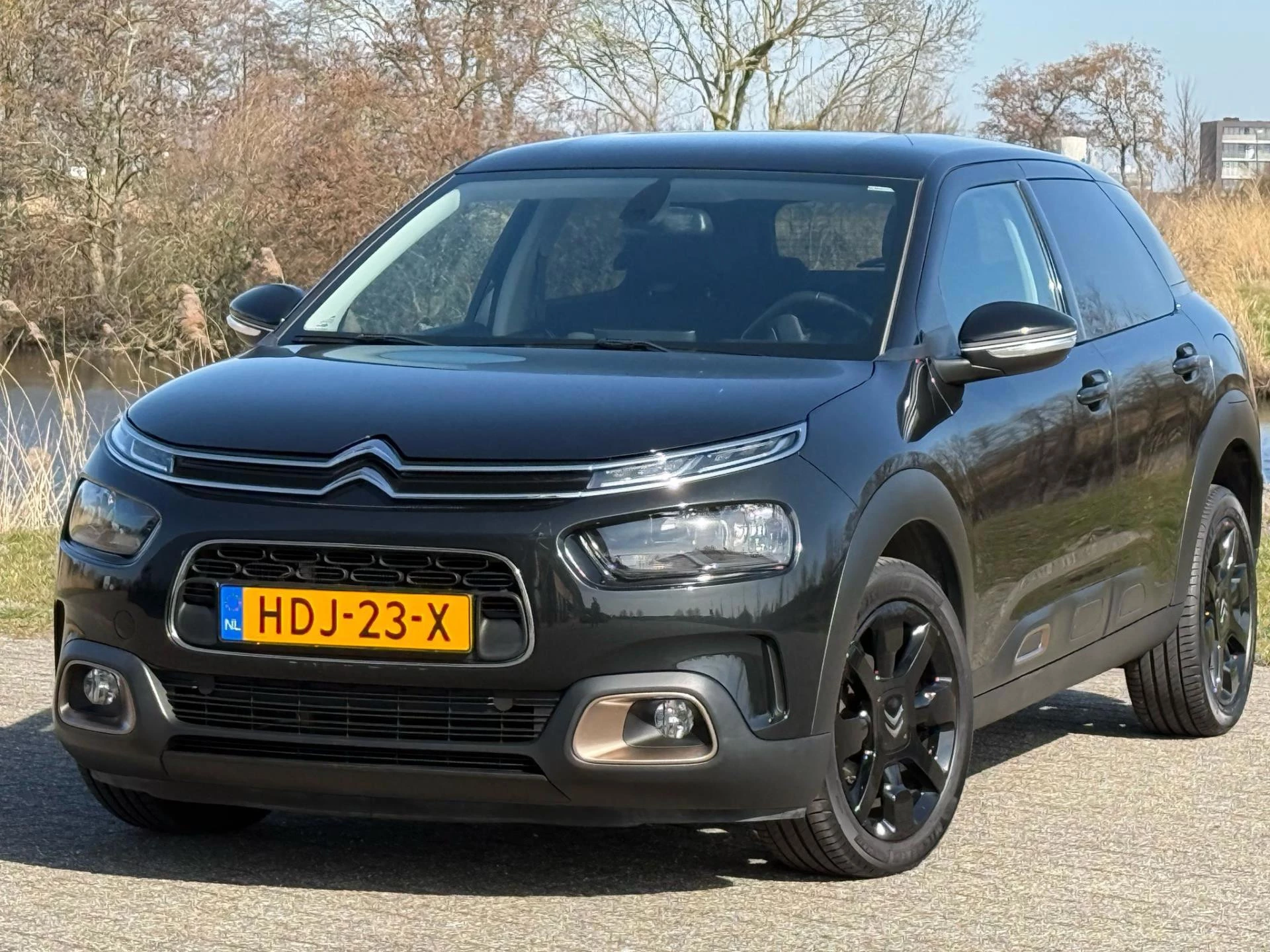 Hoofdafbeelding Citroën C4 Cactus