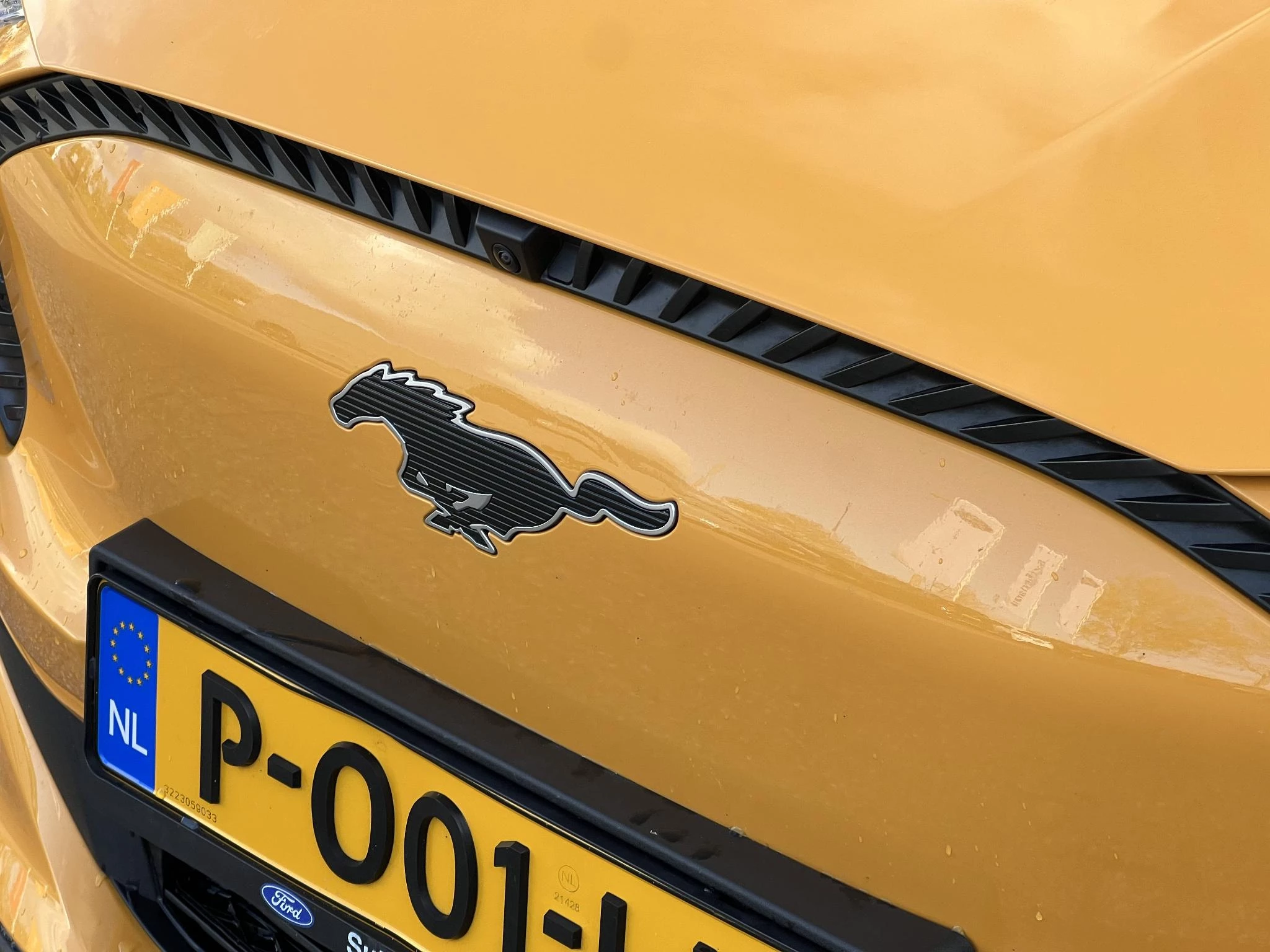 Hoofdafbeelding Ford Mustang Mach-E