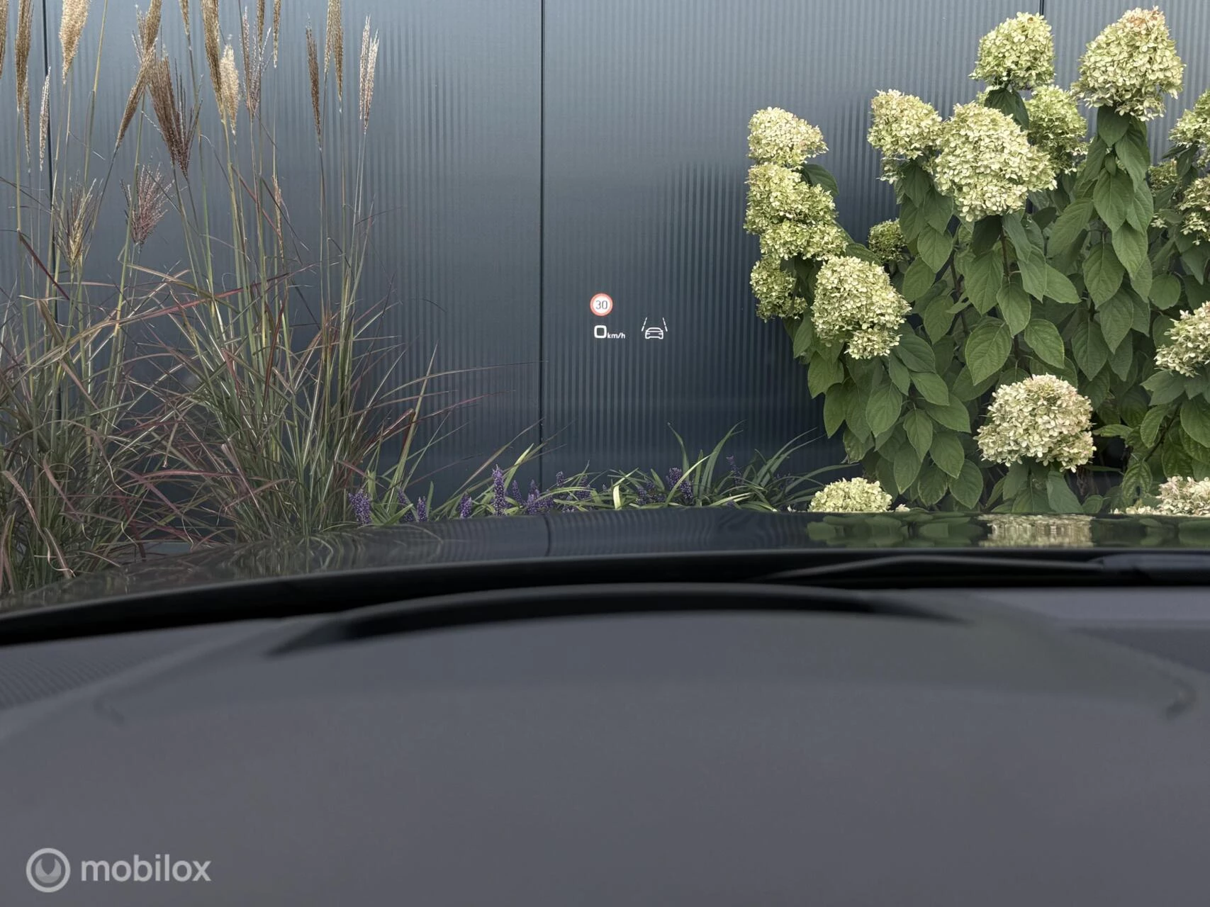 Hoofdafbeelding Audi S3