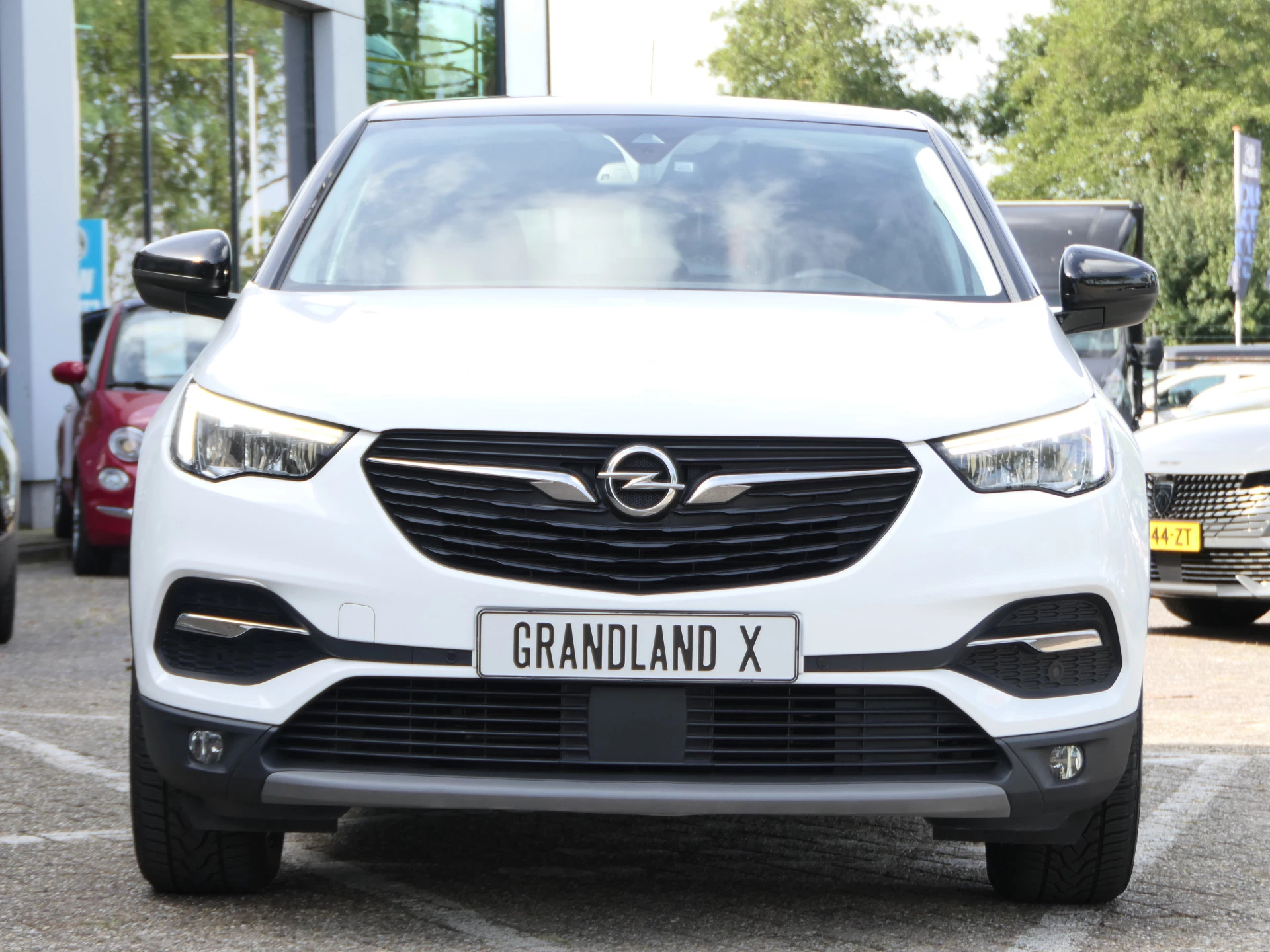 Hoofdafbeelding Opel Grandland X
