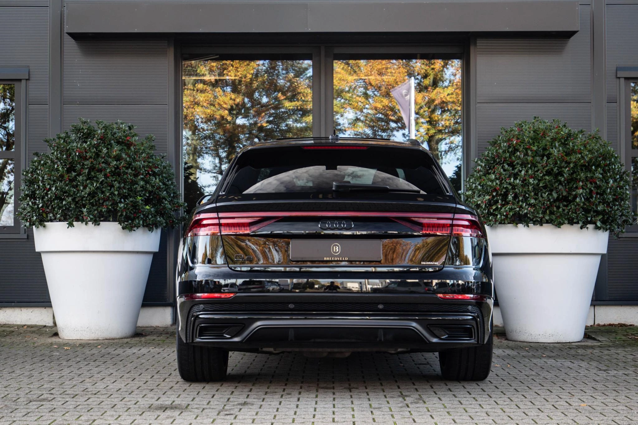 Hoofdafbeelding Audi Q8