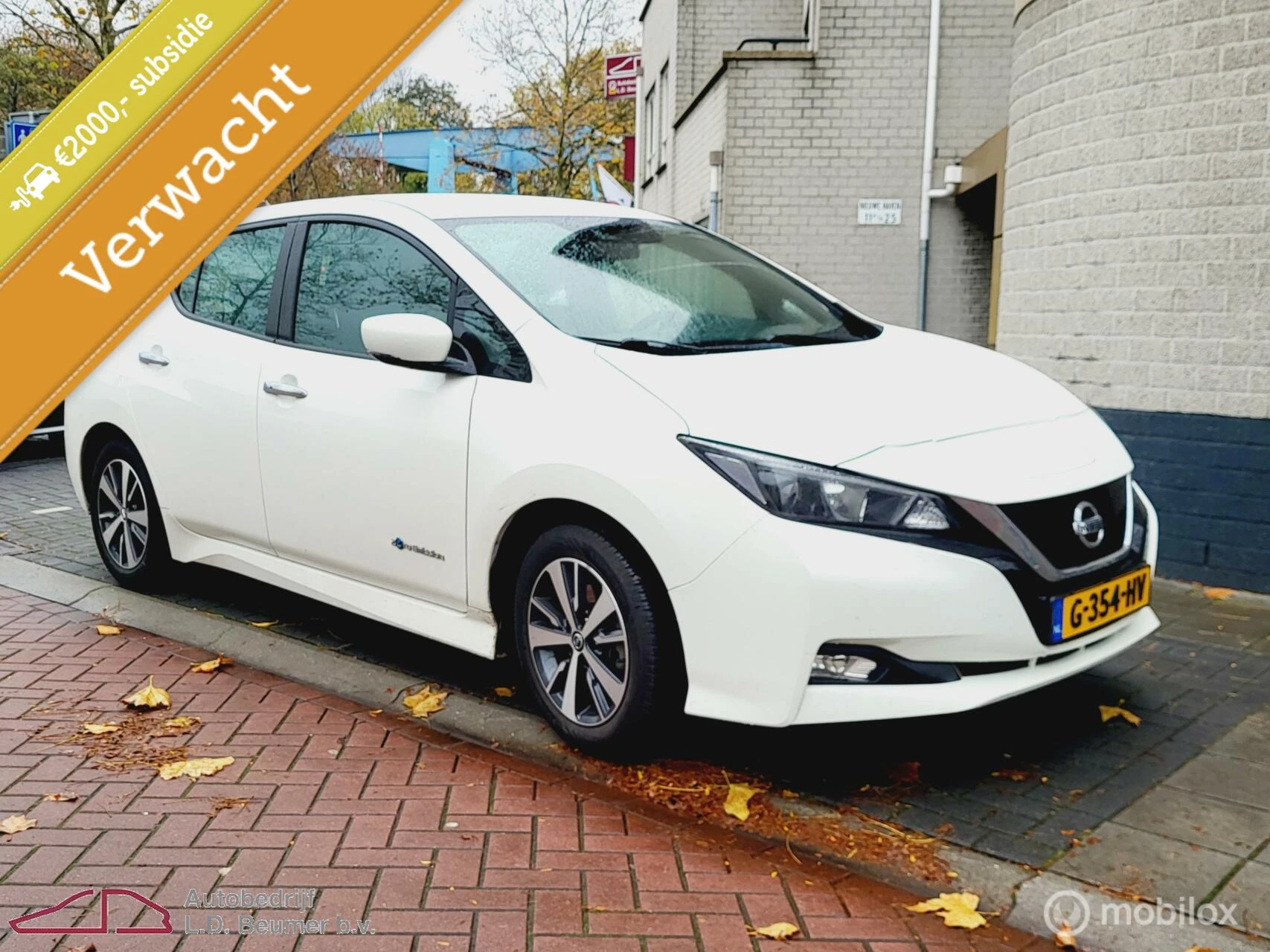 Hoofdafbeelding Nissan Leaf