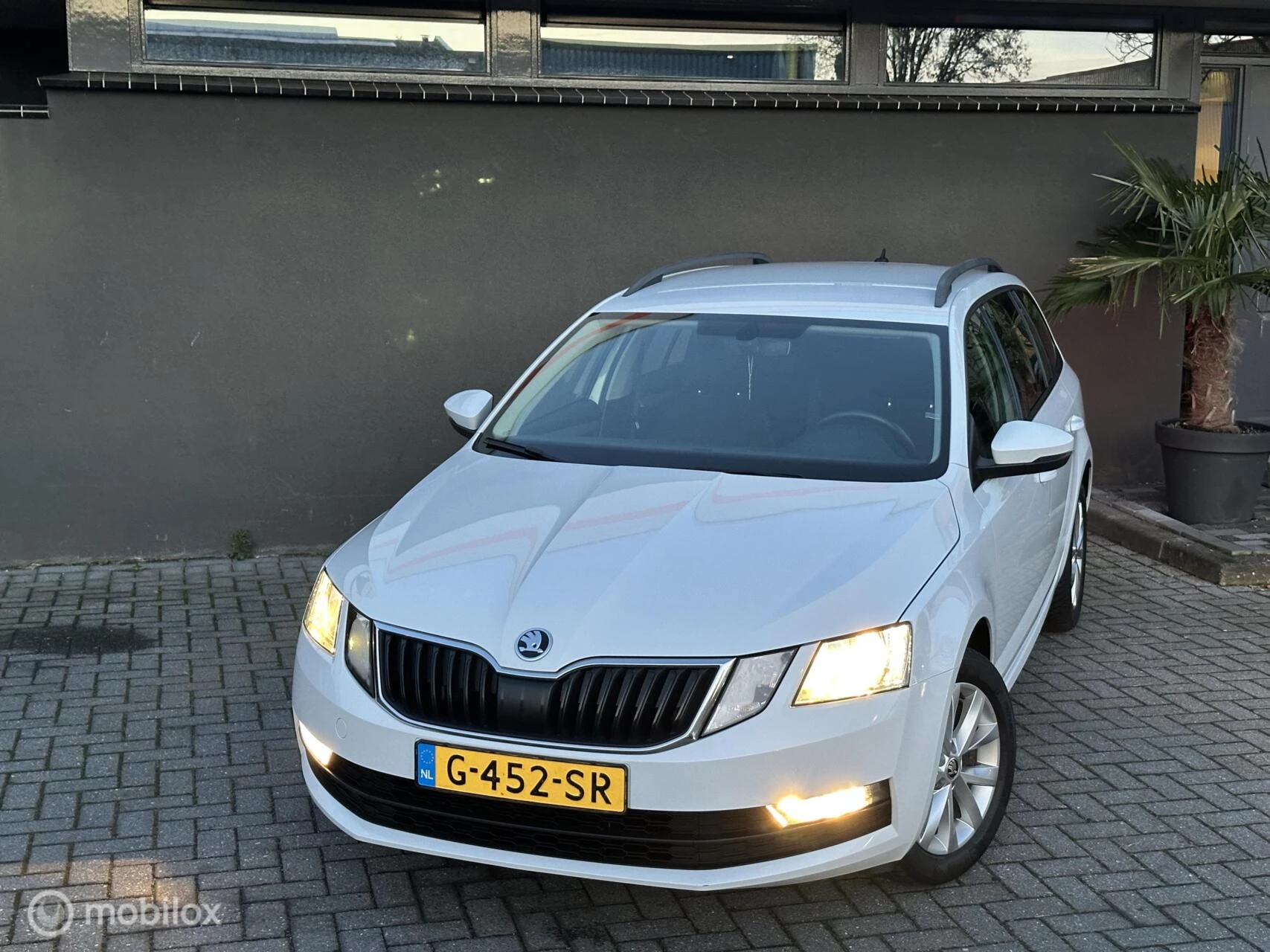 Hoofdafbeelding Škoda Octavia
