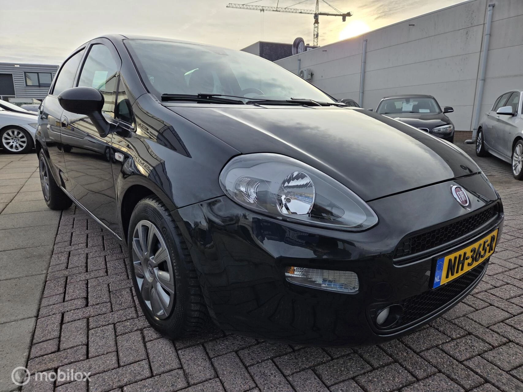 Hoofdafbeelding Fiat Punto