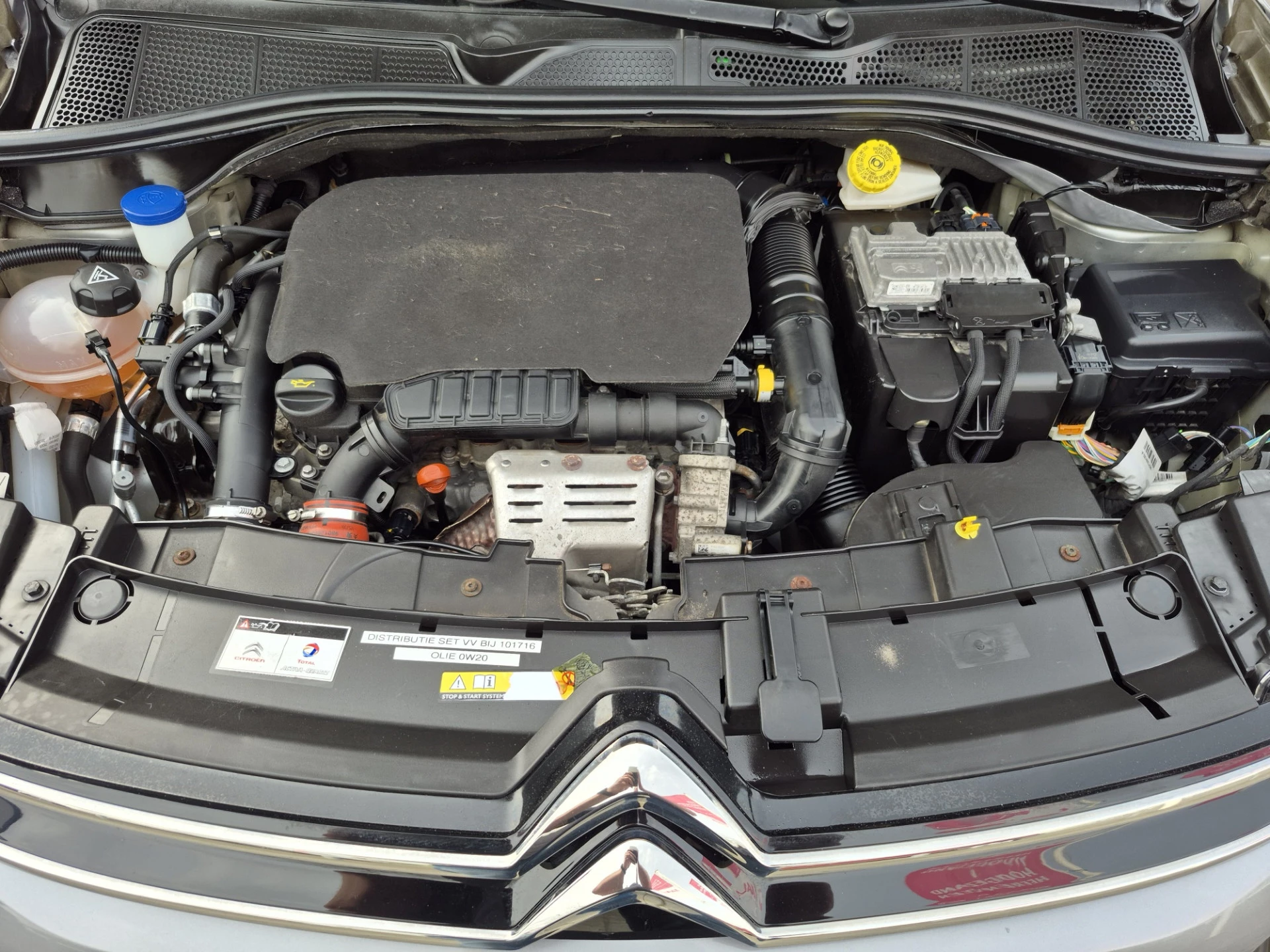 Hoofdafbeelding Citroën C4 Cactus