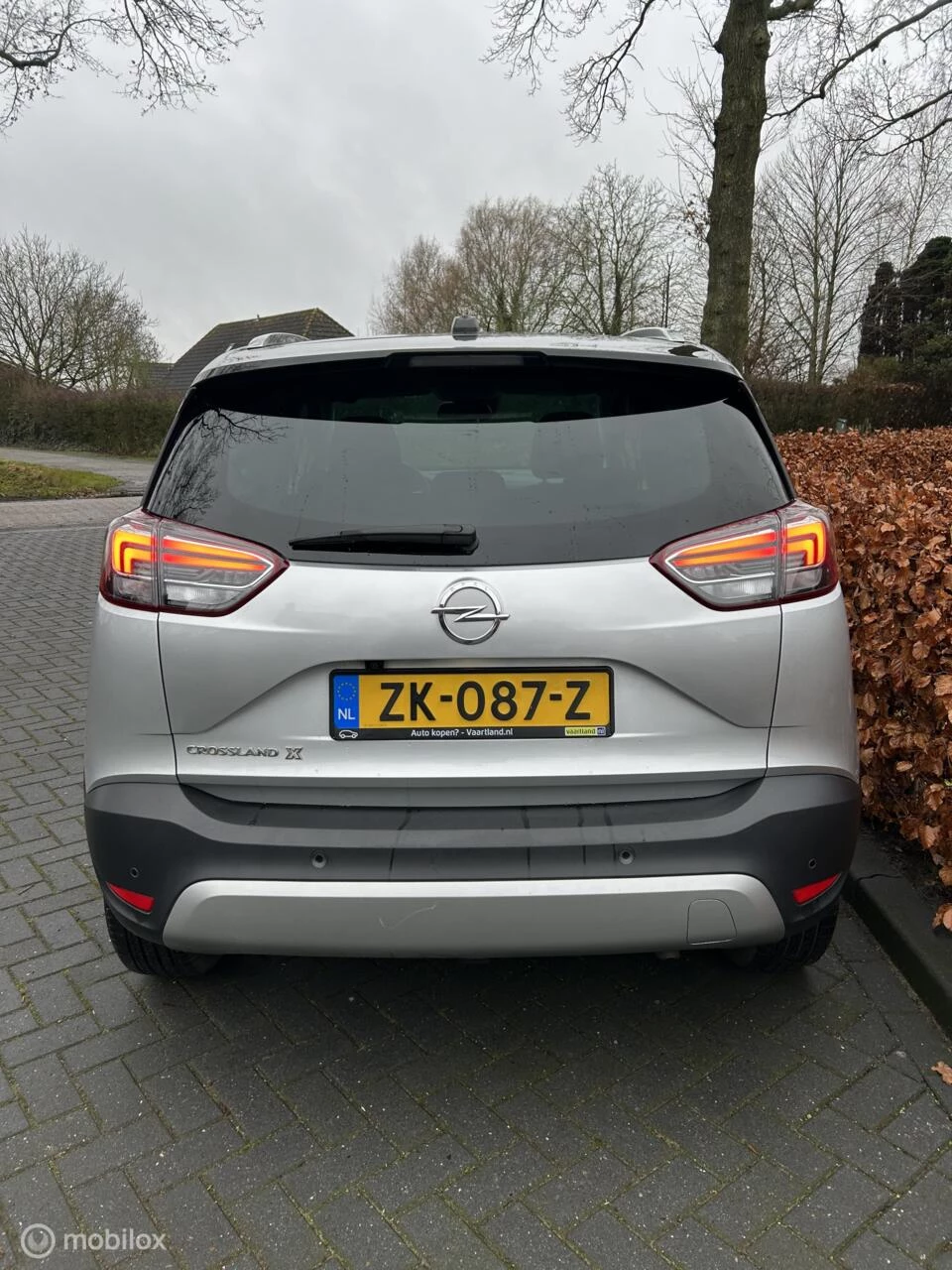 Hoofdafbeelding Opel Crossland X