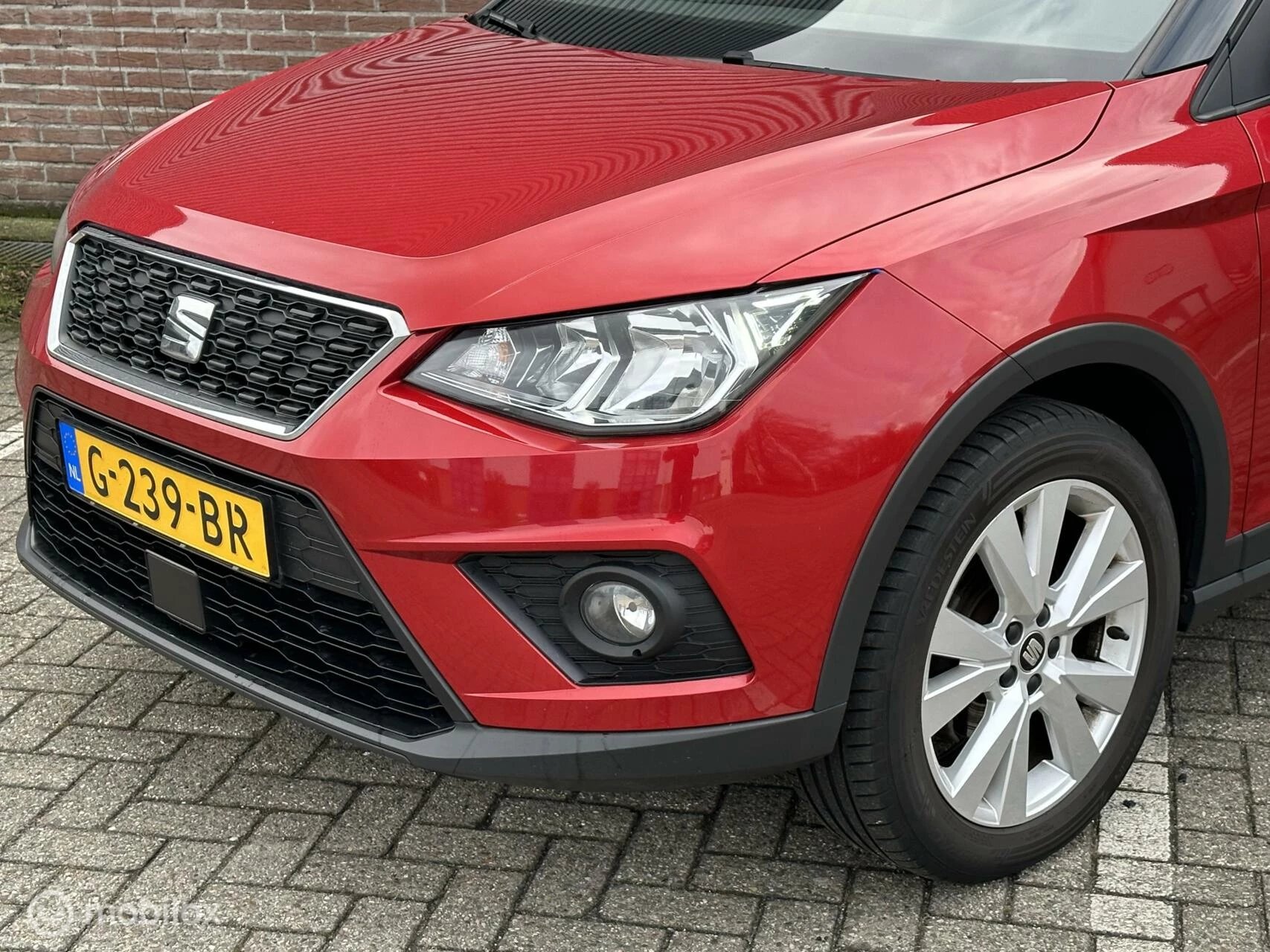 Hoofdafbeelding SEAT Arona