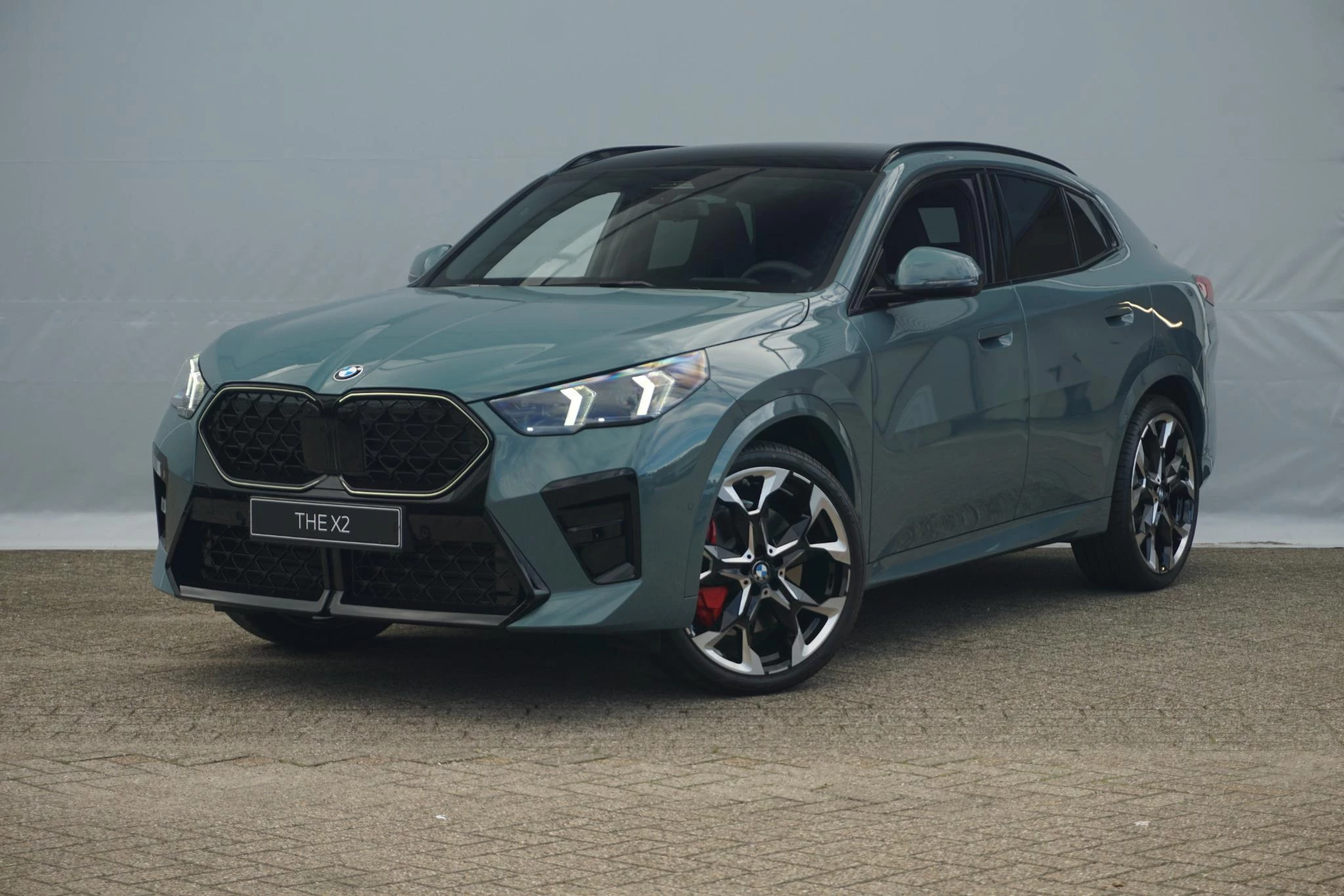 Hoofdafbeelding BMW X2