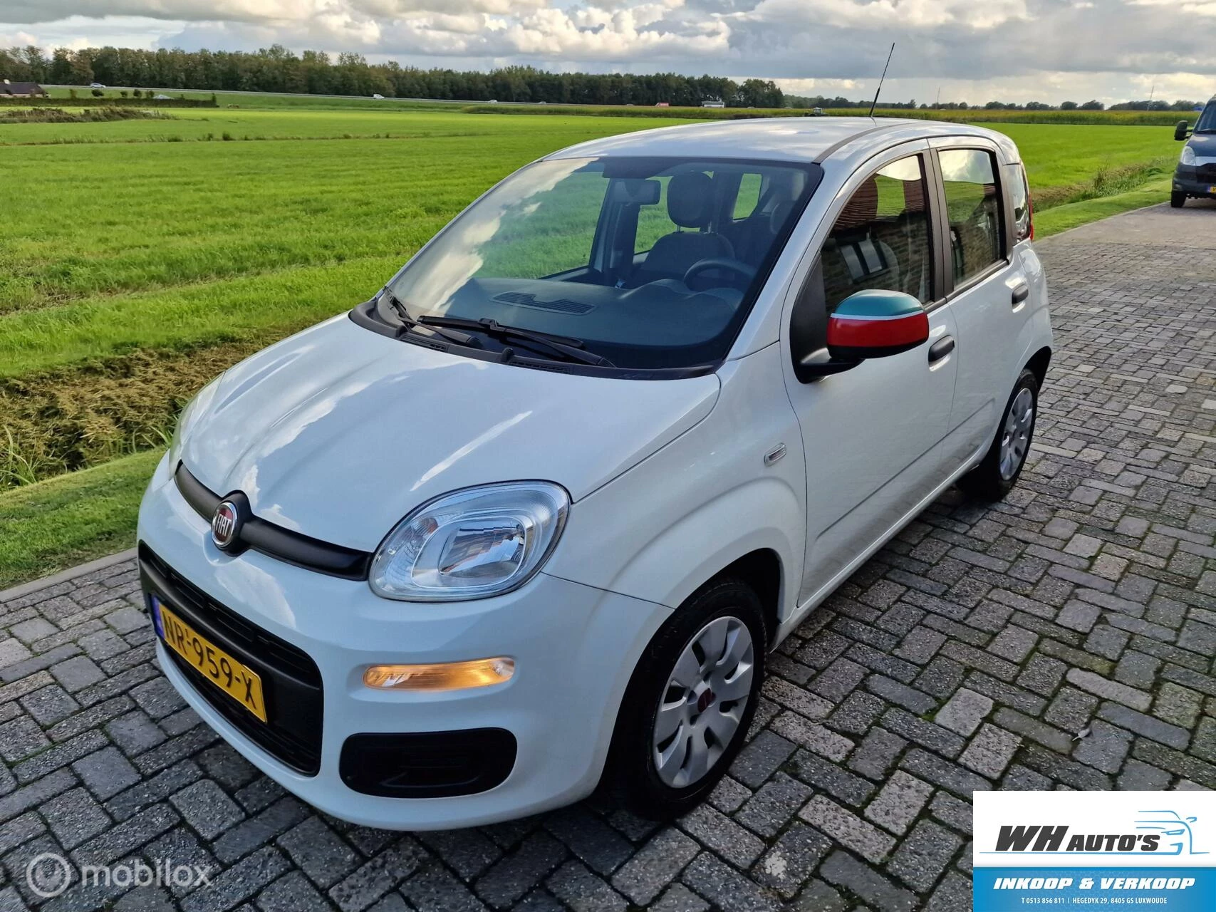 Hoofdafbeelding Fiat Panda