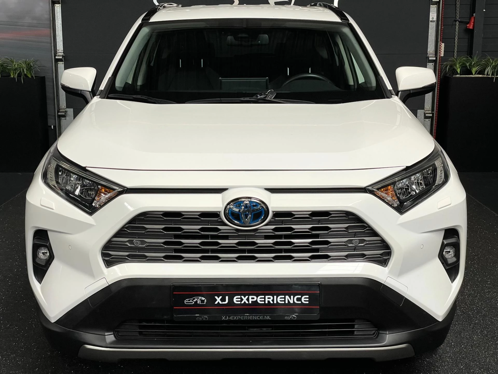 Hoofdafbeelding Toyota RAV4