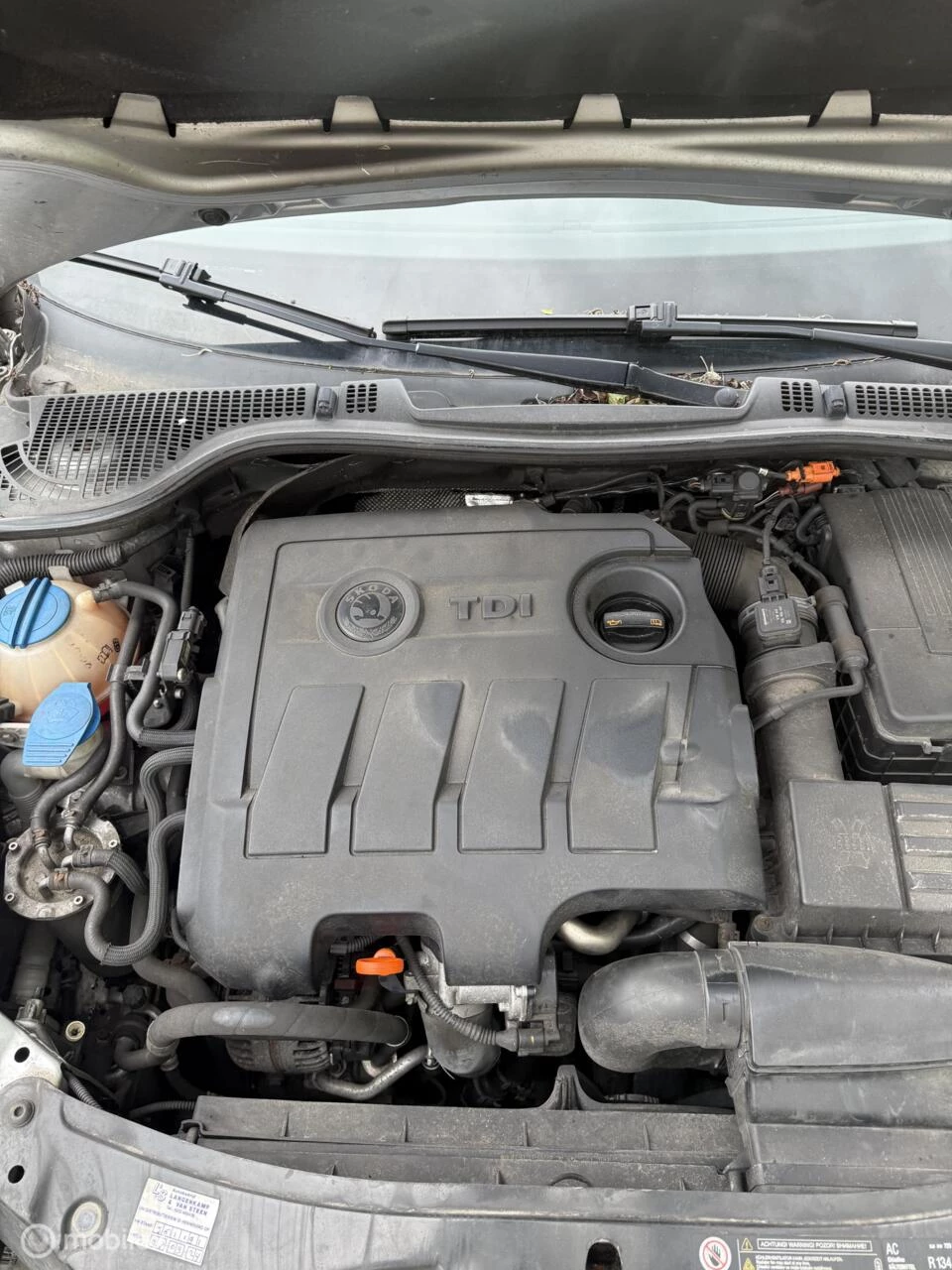 Hoofdafbeelding Škoda Octavia