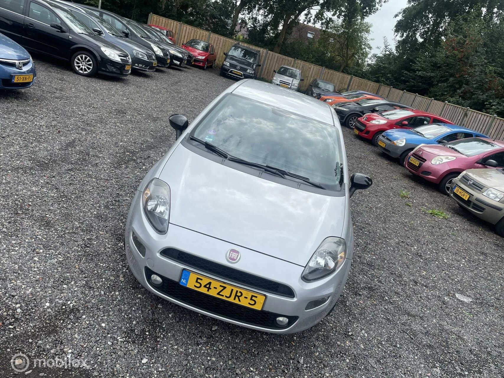 Hoofdafbeelding Fiat Punto