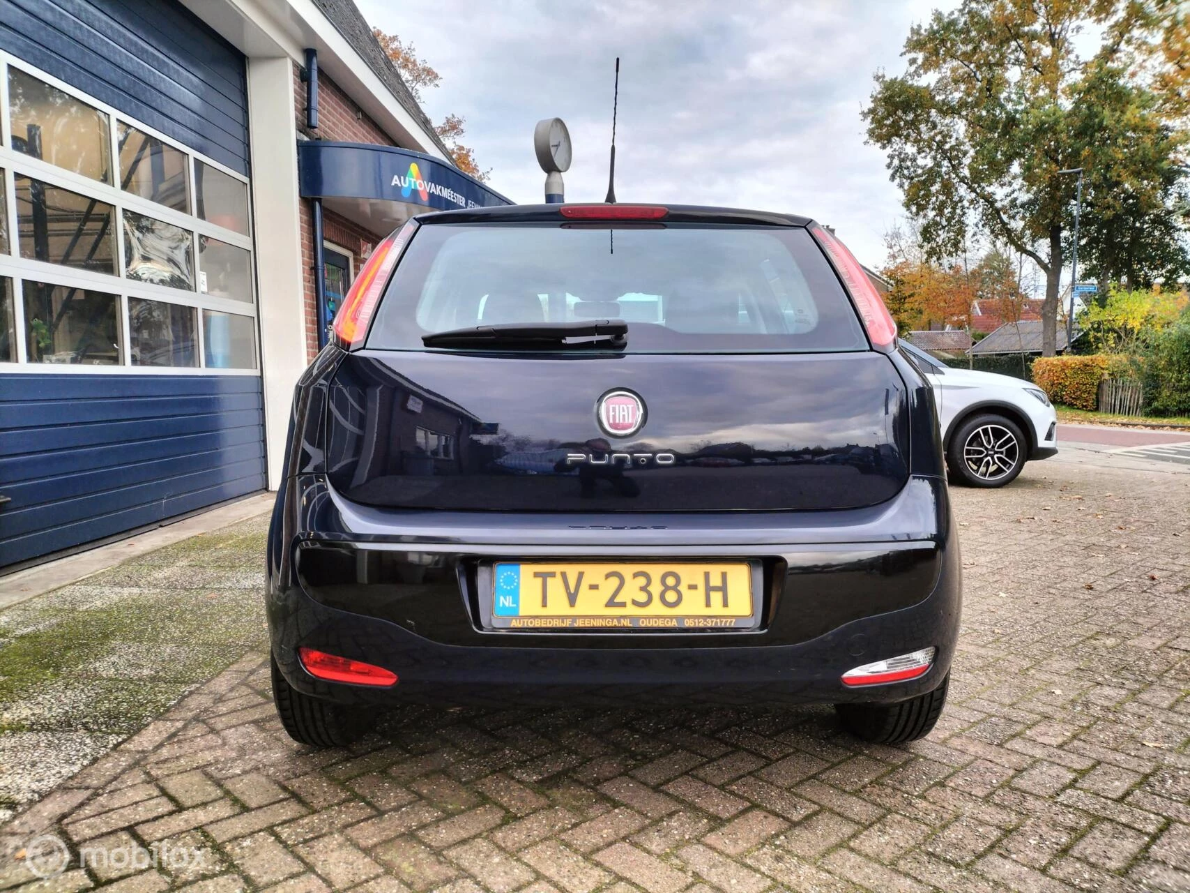 Hoofdafbeelding Fiat Punto