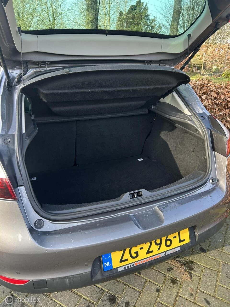 Hoofdafbeelding Renault Mégane