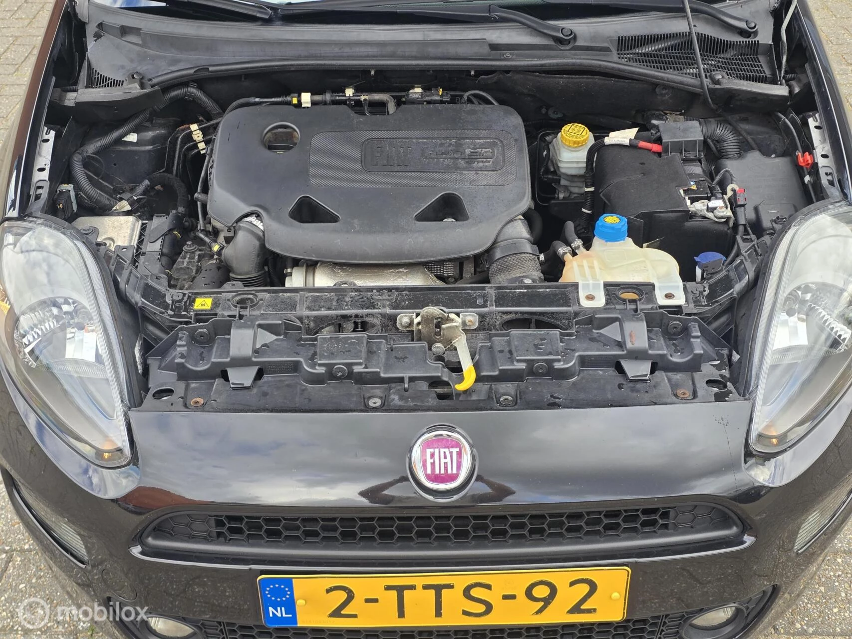 Hoofdafbeelding Fiat Punto