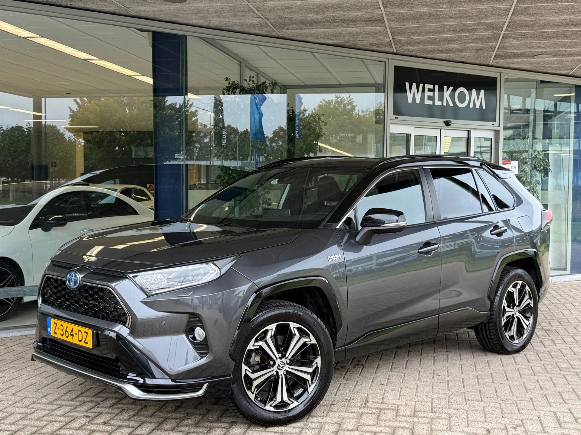 Hoofdafbeelding Toyota RAV4
