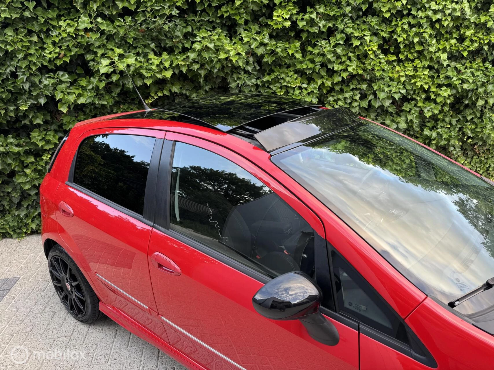 Hoofdafbeelding Fiat Punto
