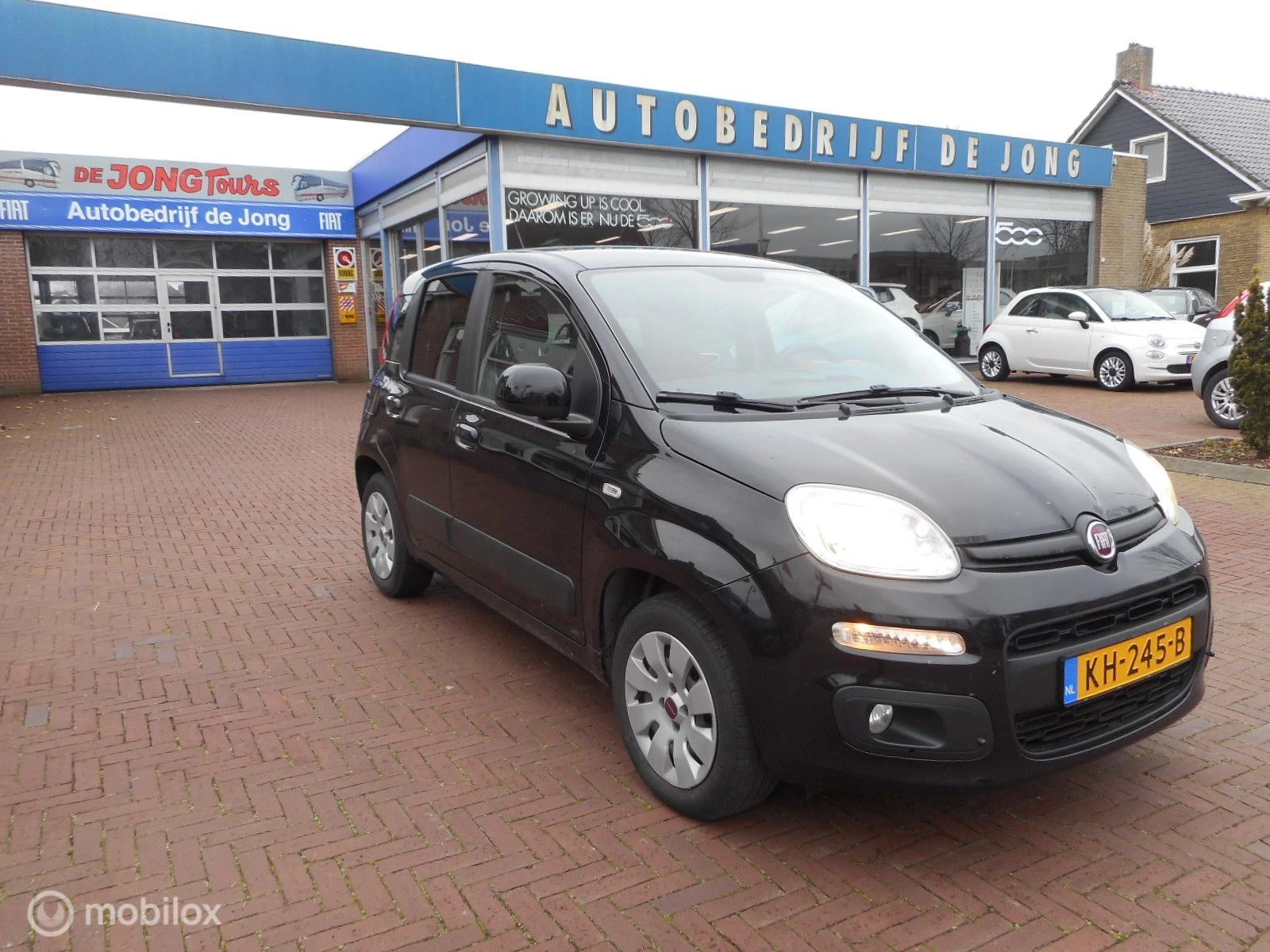 Hoofdafbeelding Fiat Panda