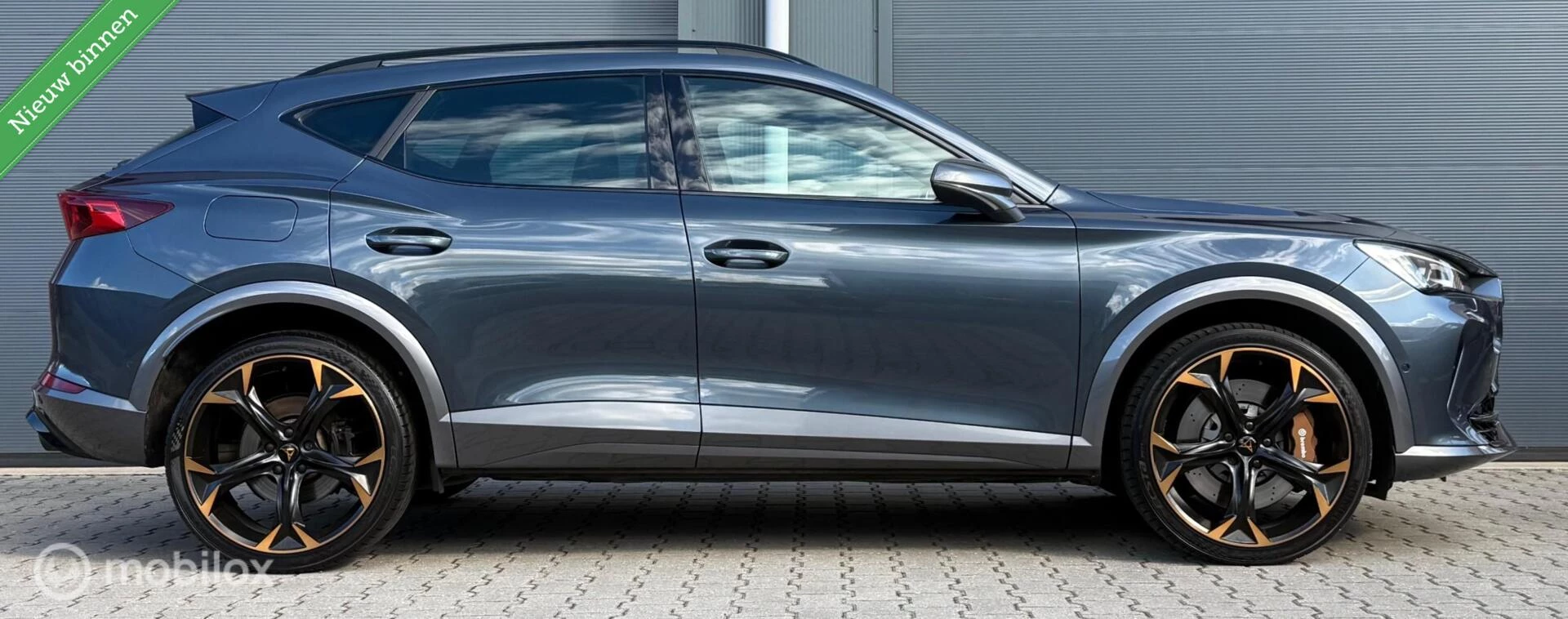 Hoofdafbeelding CUPRA Formentor
