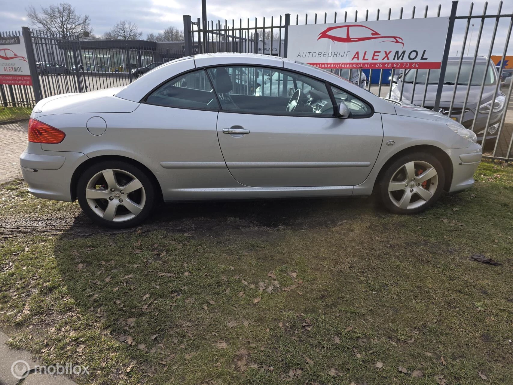 Hoofdafbeelding Peugeot 307