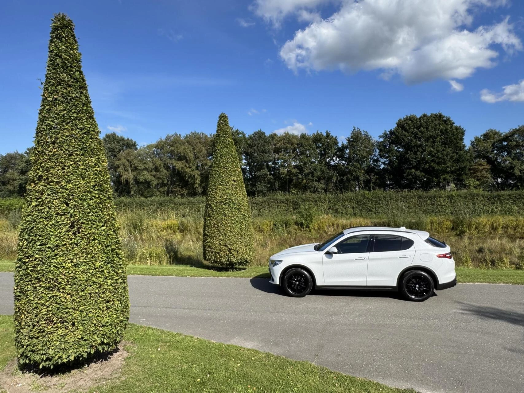 Hoofdafbeelding Alfa Romeo Stelvio