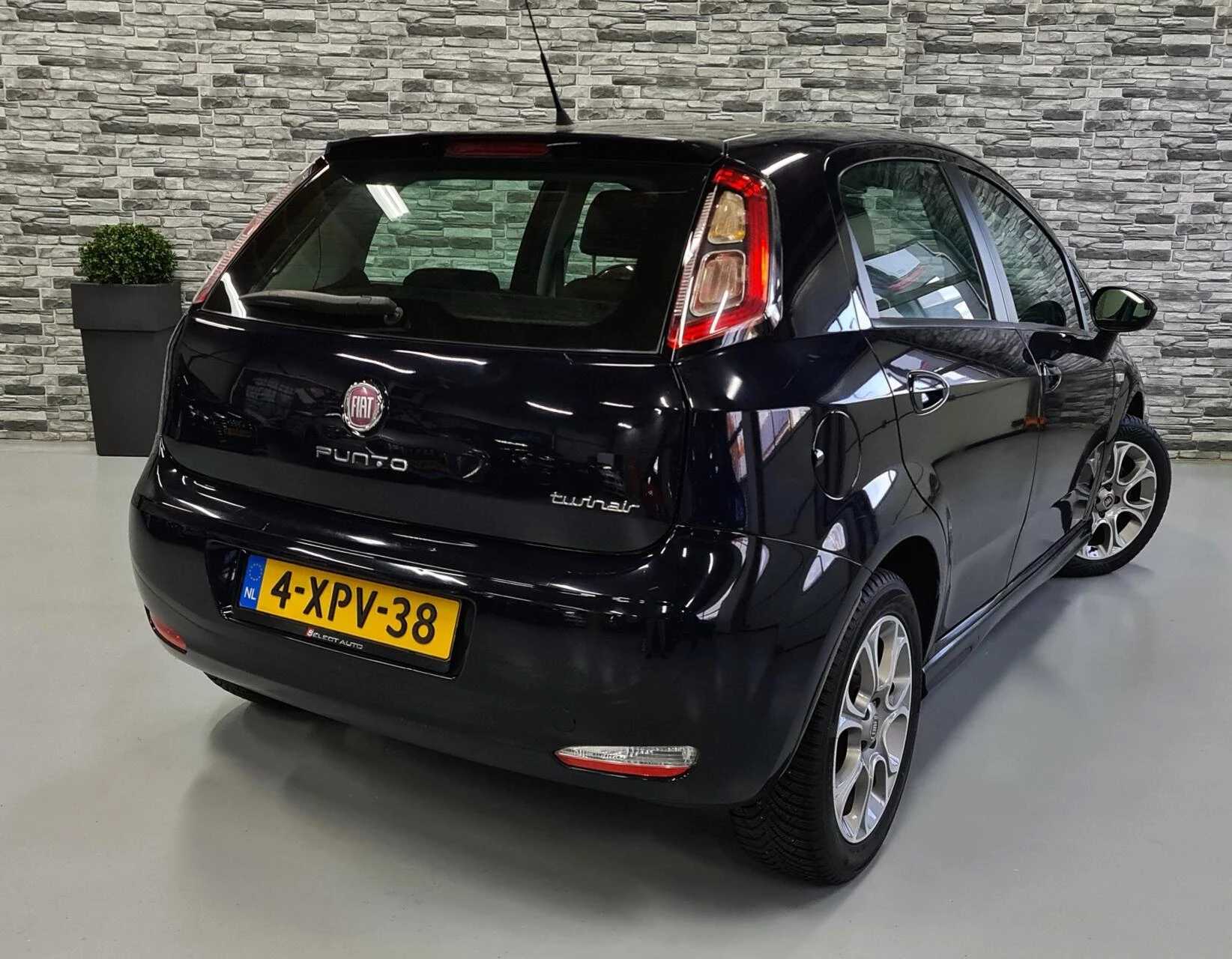 Hoofdafbeelding Fiat Punto