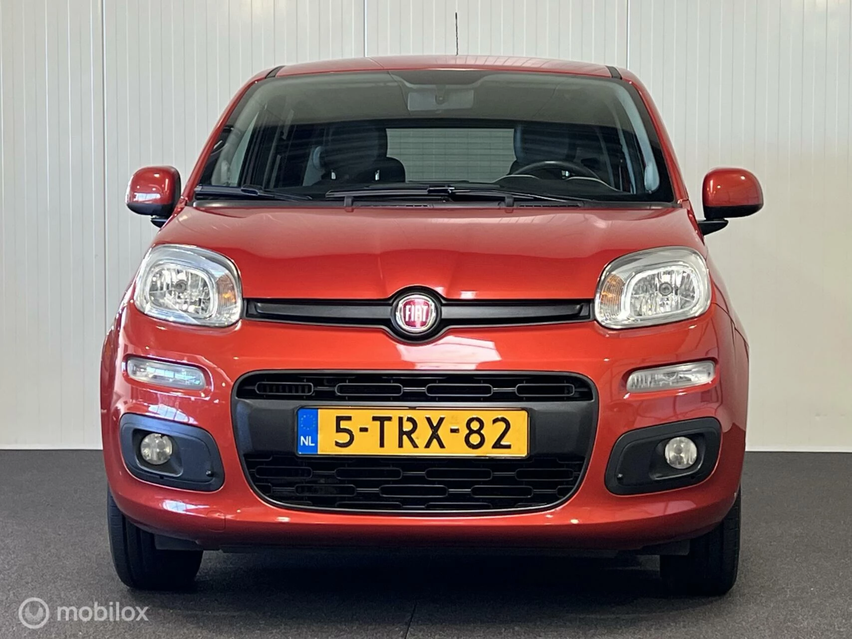 Hoofdafbeelding Fiat Panda