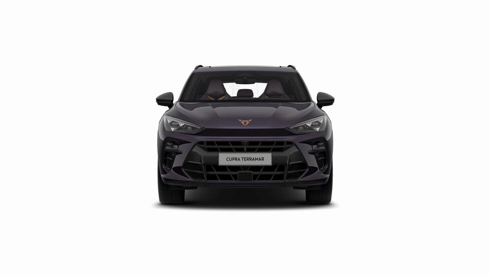 Hoofdafbeelding CUPRA Terramar