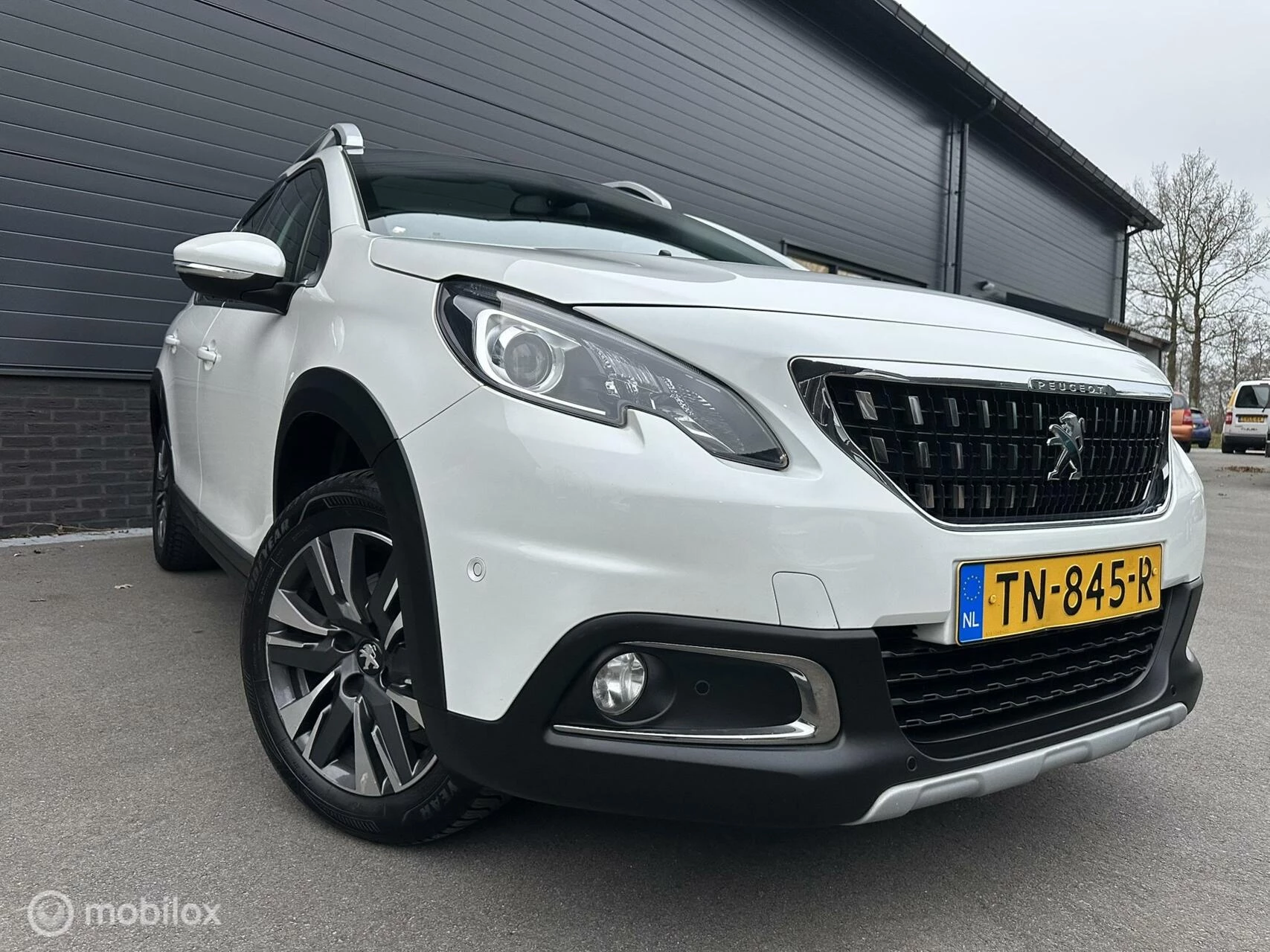 Hoofdafbeelding Peugeot 2008