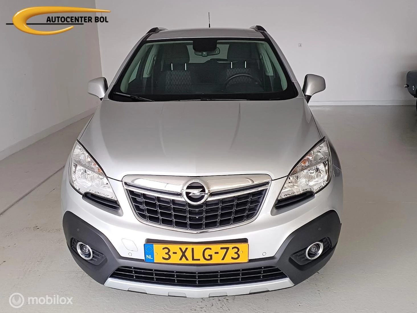 Hoofdafbeelding Opel Mokka