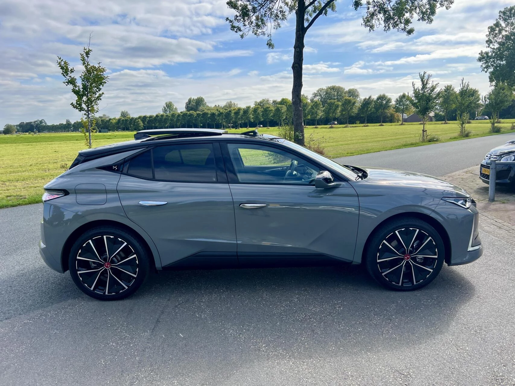 Hoofdafbeelding DS DS 4