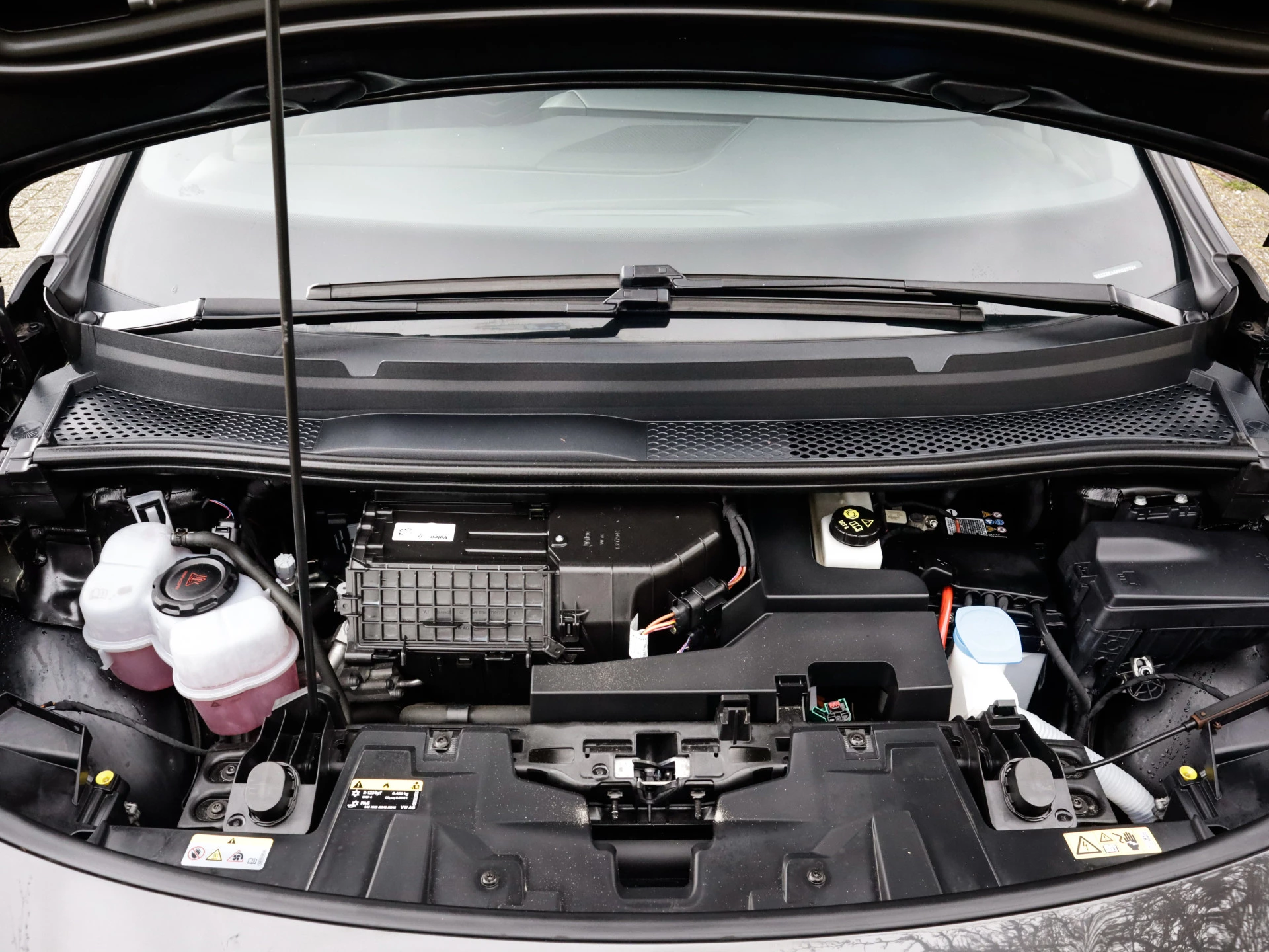 Hoofdafbeelding CUPRA Born