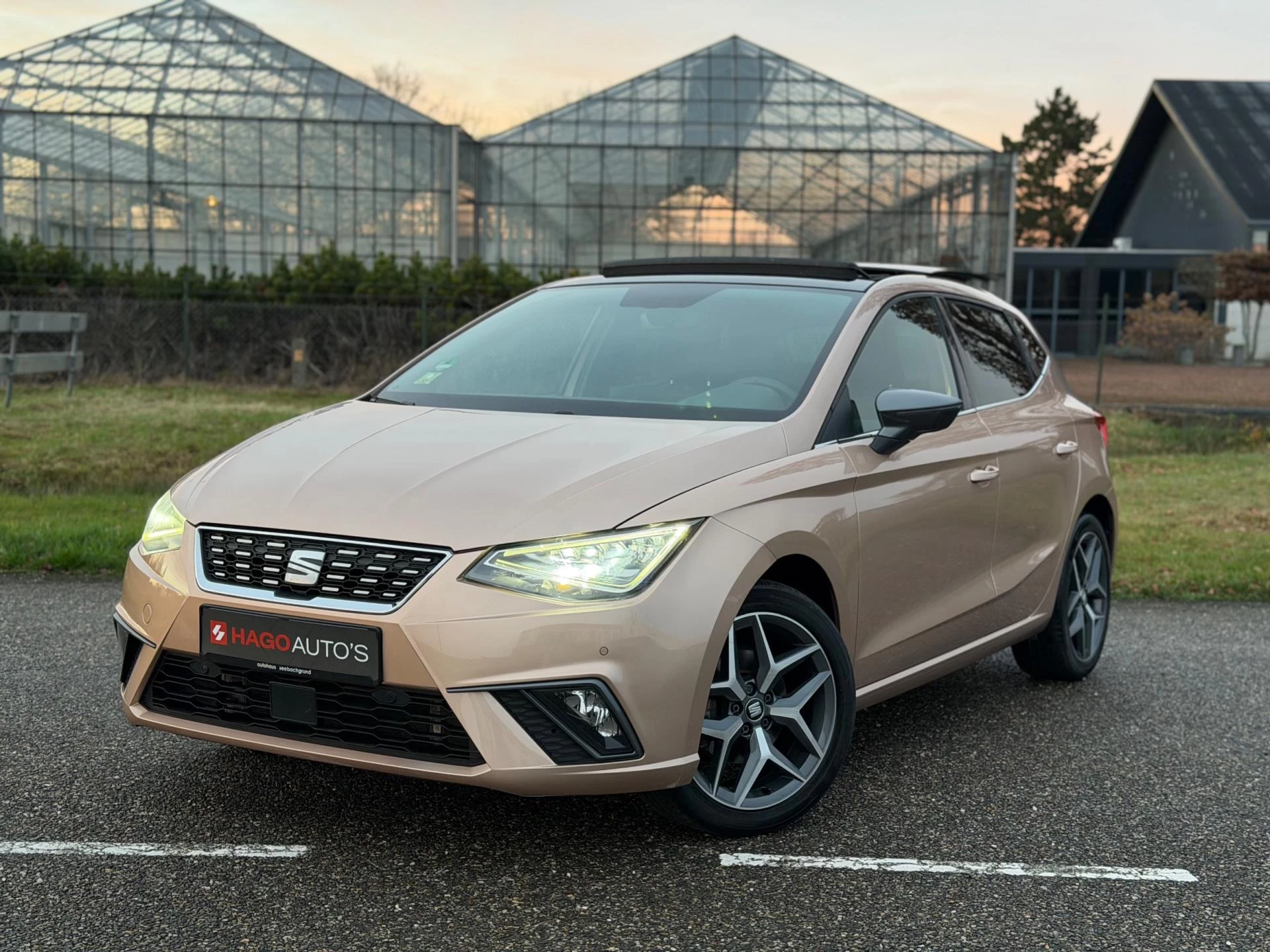 Hoofdafbeelding SEAT Ibiza