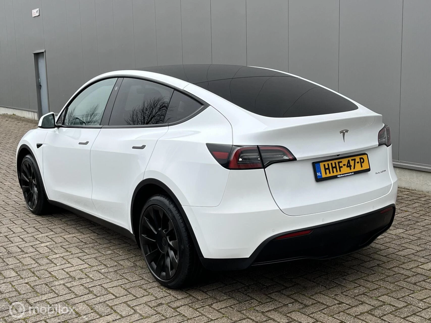 Hoofdafbeelding Tesla Model Y
