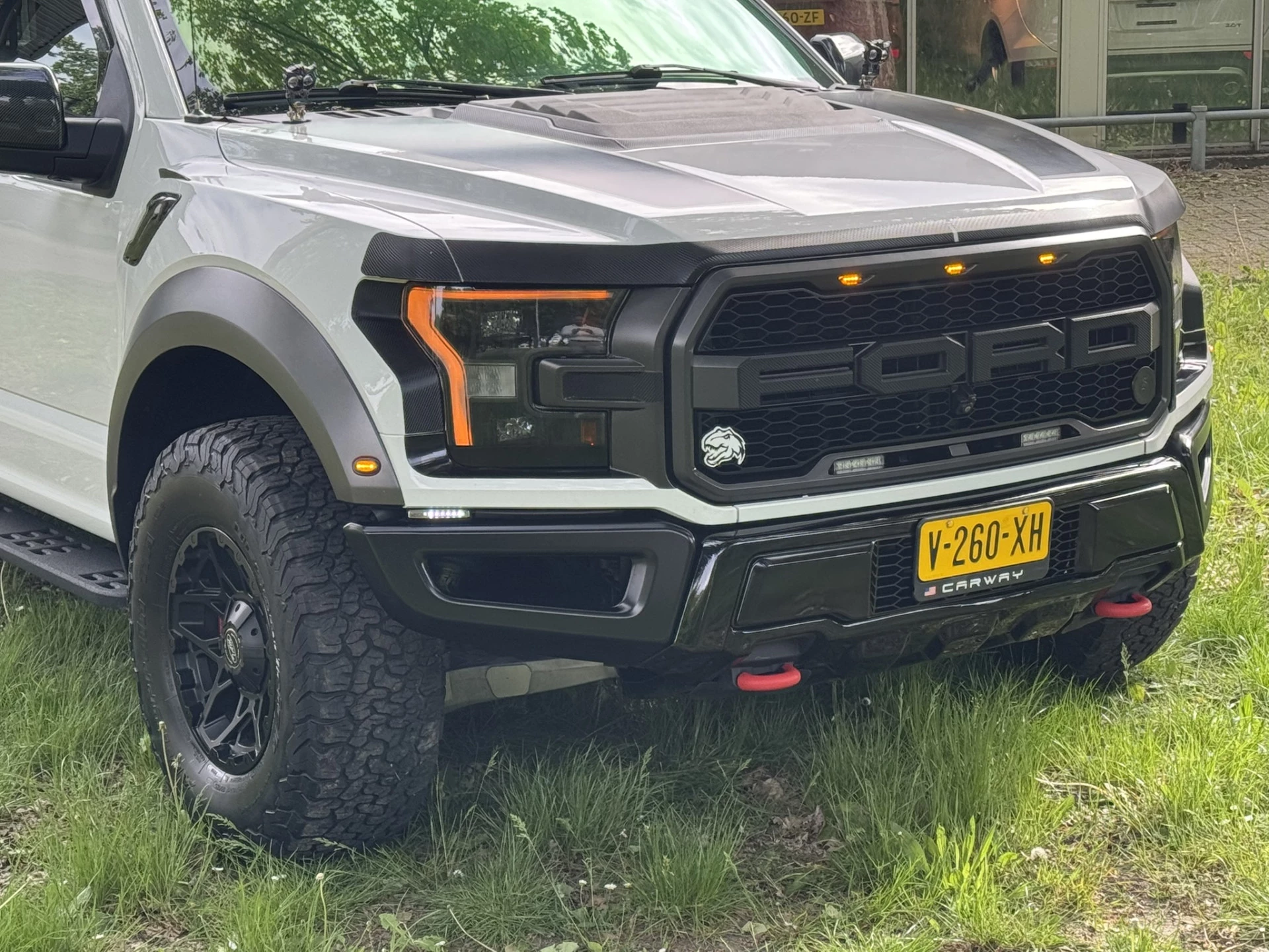 Hoofdafbeelding Ford F-150
