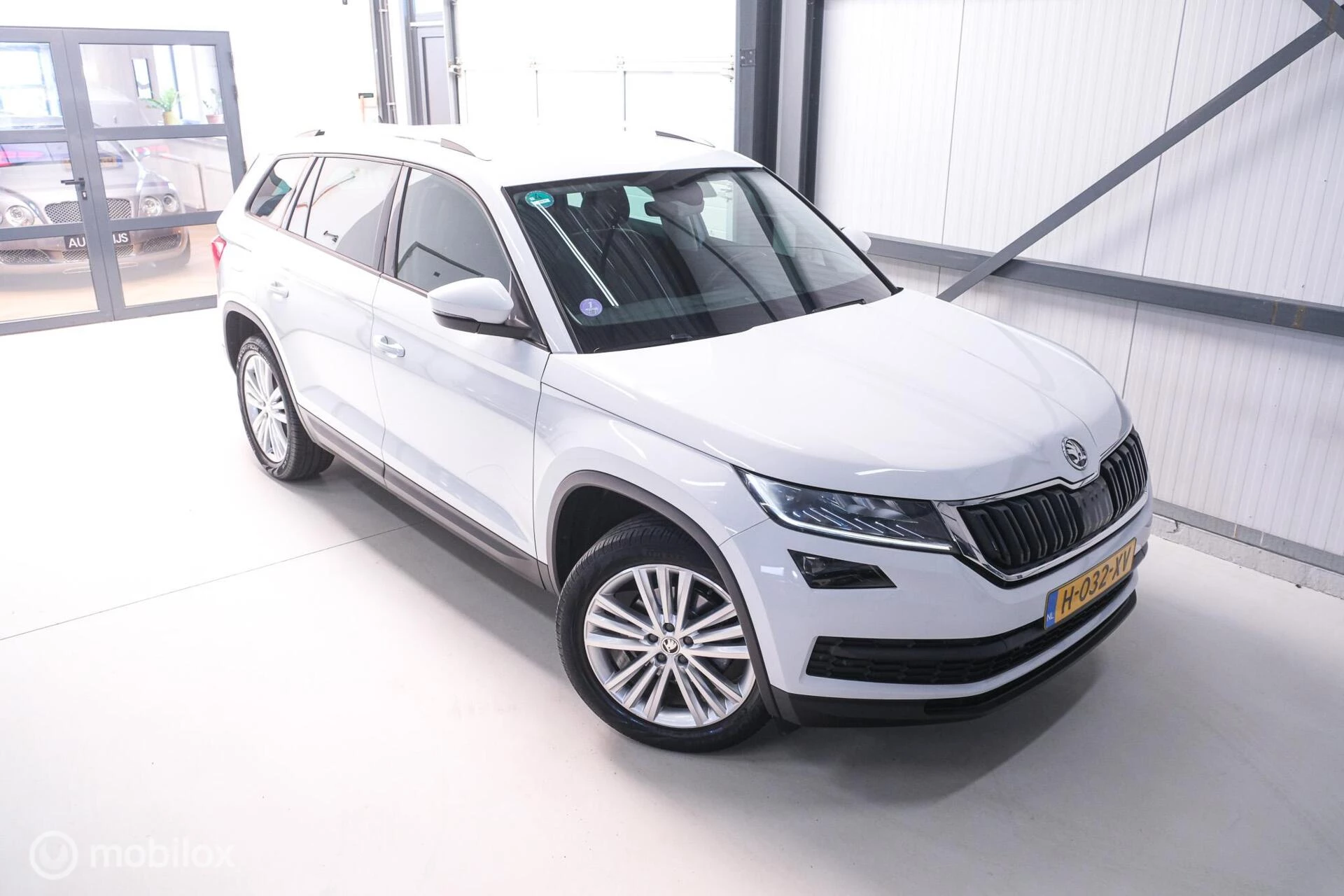 Hoofdafbeelding Škoda Kodiaq