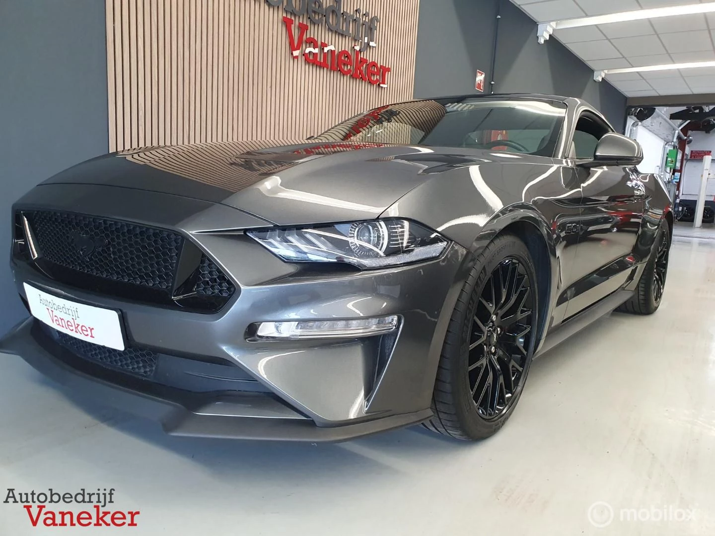 Hoofdafbeelding Ford Mustang