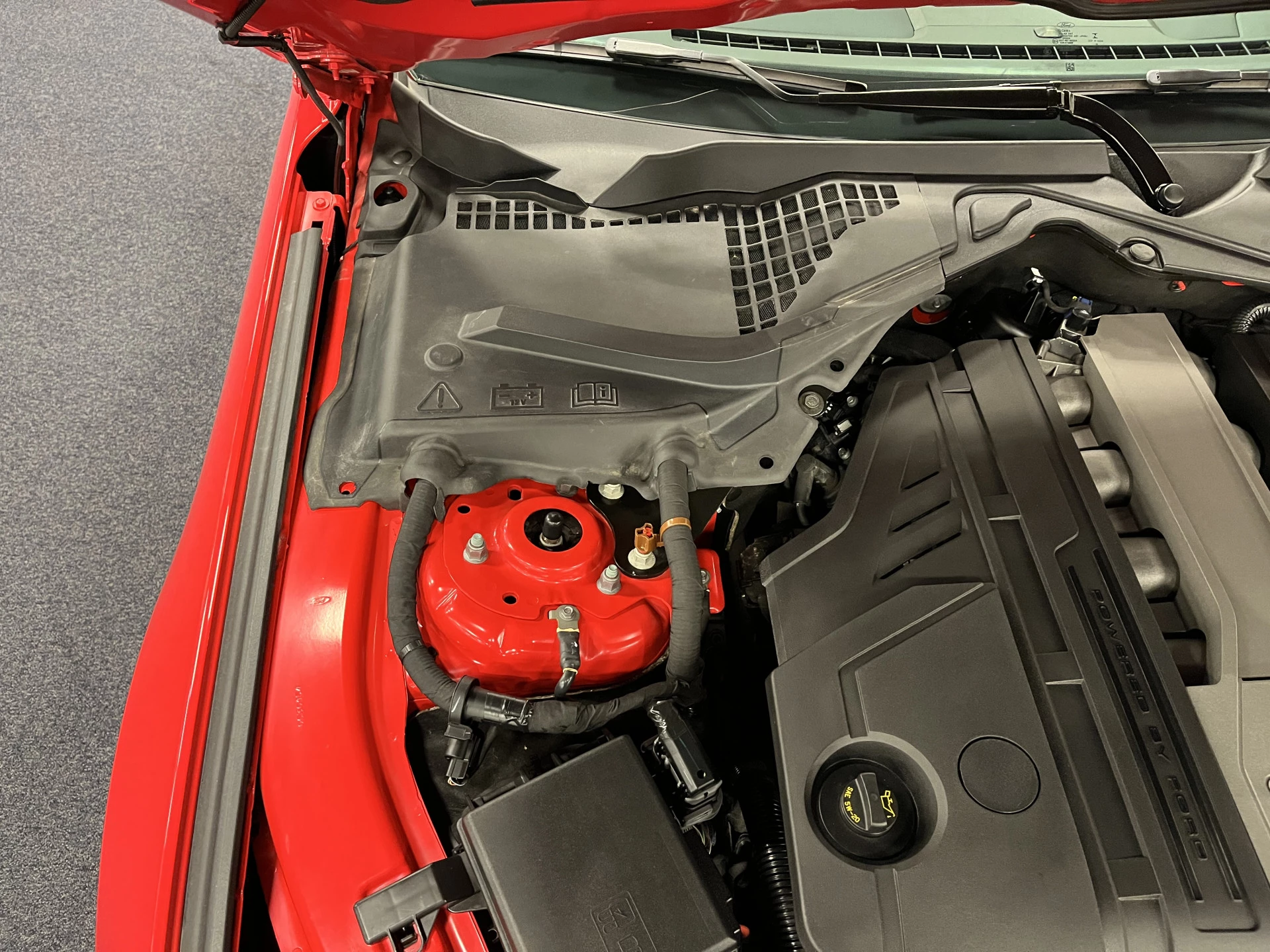 Hoofdafbeelding Ford Mustang