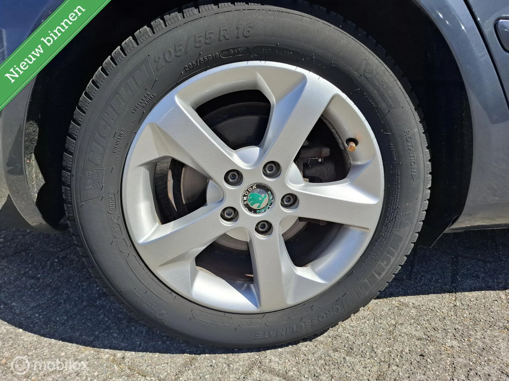 Hoofdafbeelding Škoda Octavia