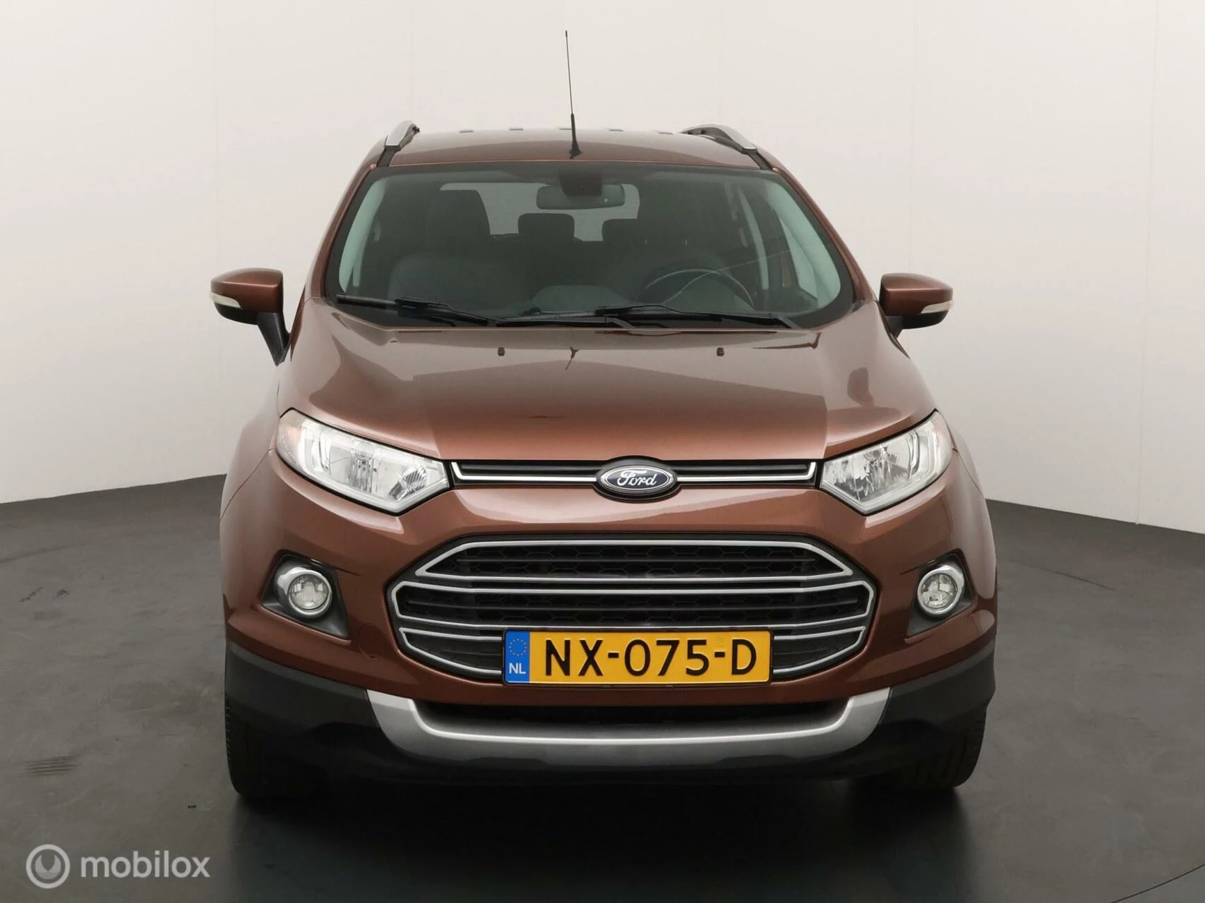Hoofdafbeelding Ford EcoSport