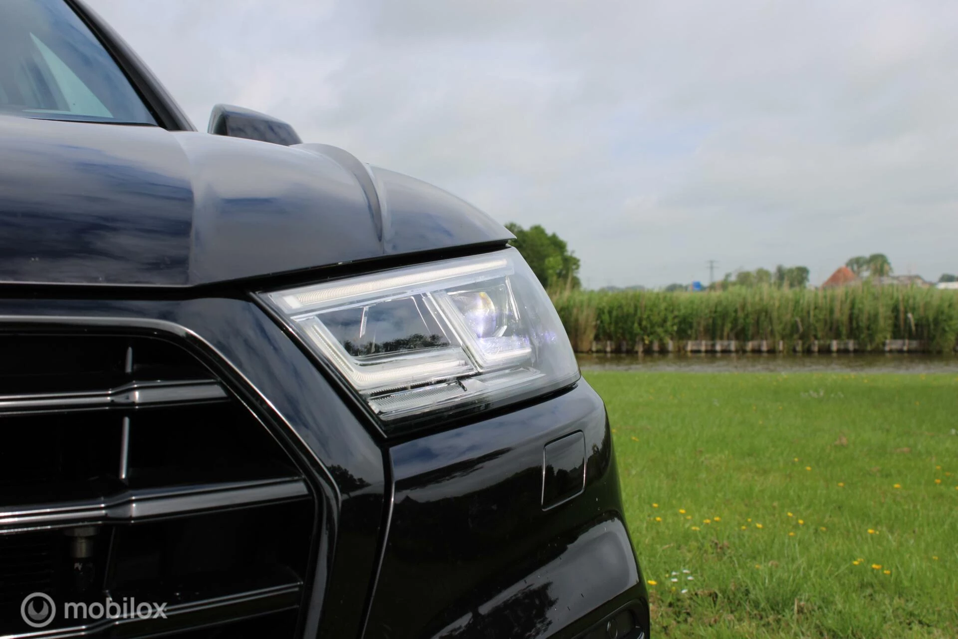 Hoofdafbeelding Audi SQ5