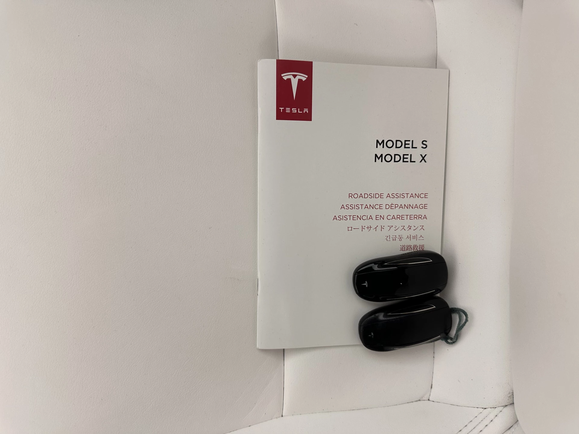 Hoofdafbeelding Tesla Model X