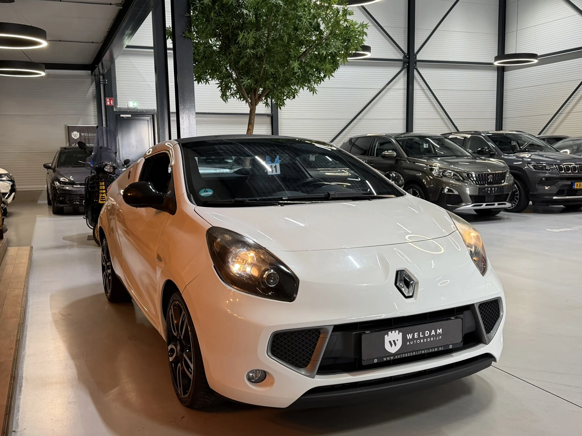 Hoofdafbeelding Renault Wind