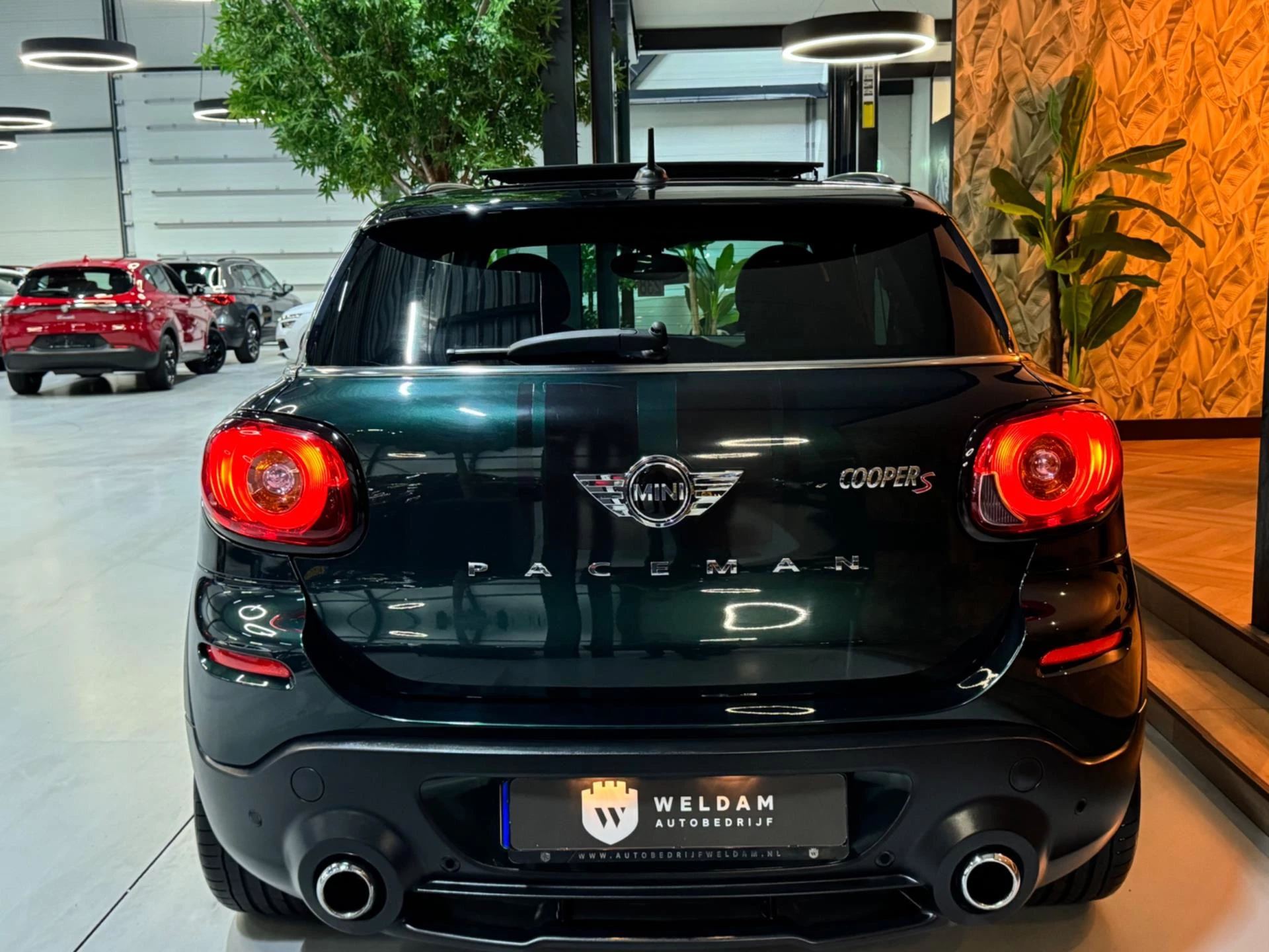 Hoofdafbeelding MINI Paceman