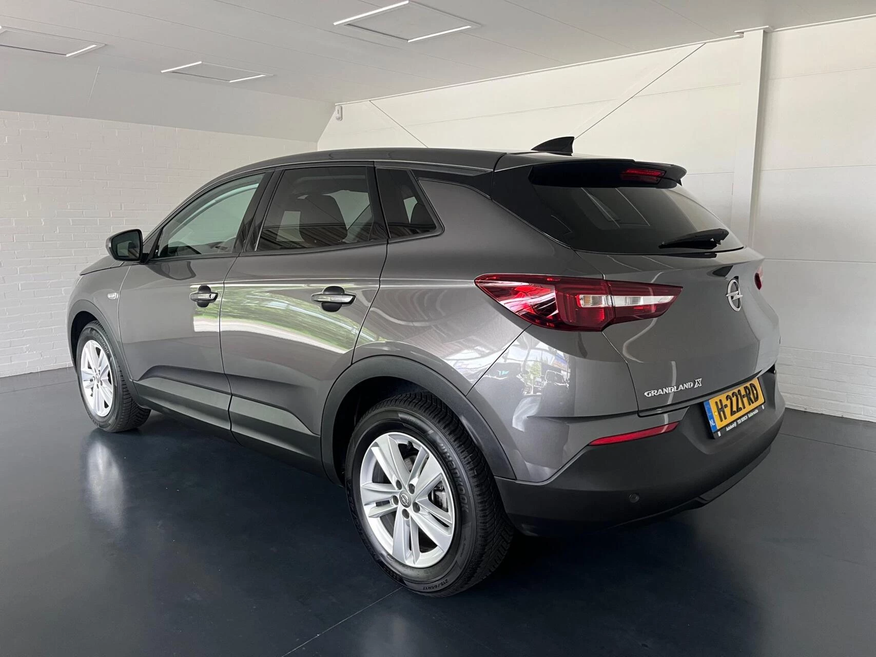 Hoofdafbeelding Opel Grandland X