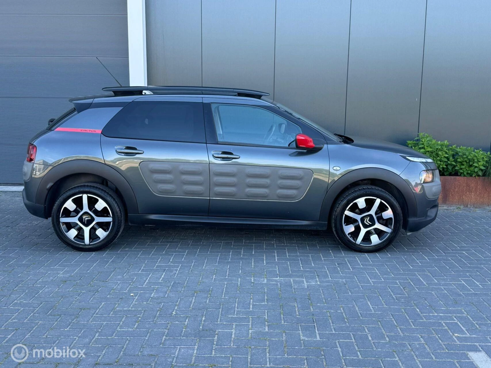 Hoofdafbeelding Citroën C4 Cactus