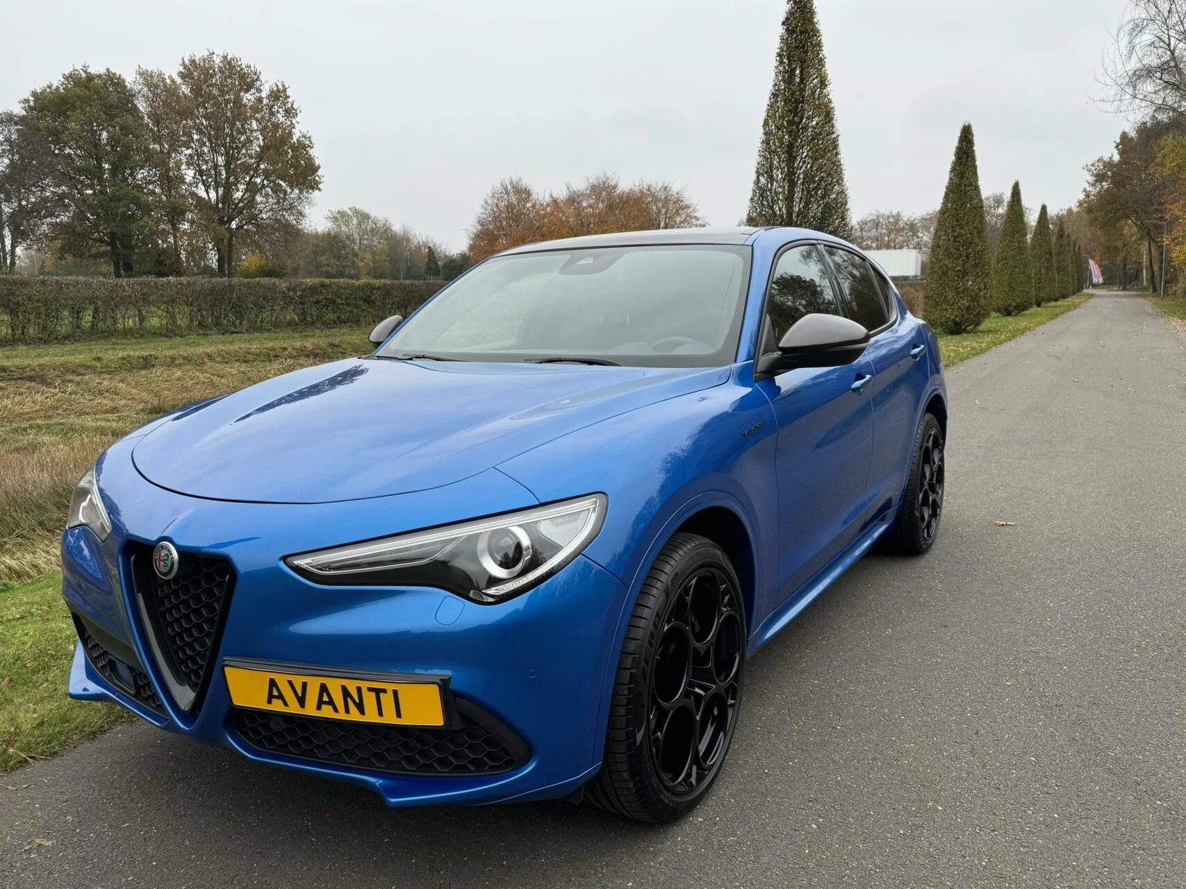 Hoofdafbeelding Alfa Romeo Stelvio