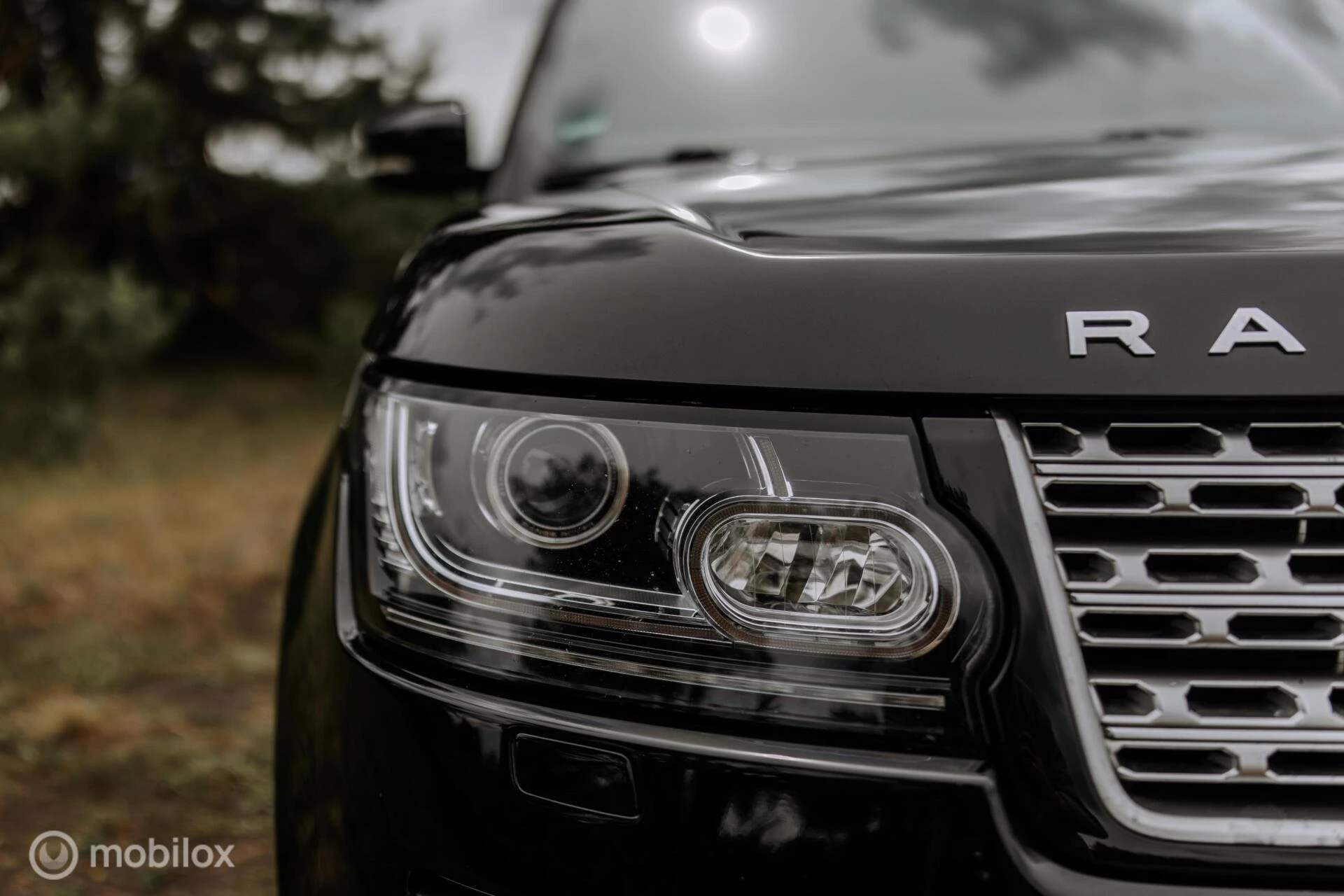 Hoofdafbeelding Land Rover Range Rover